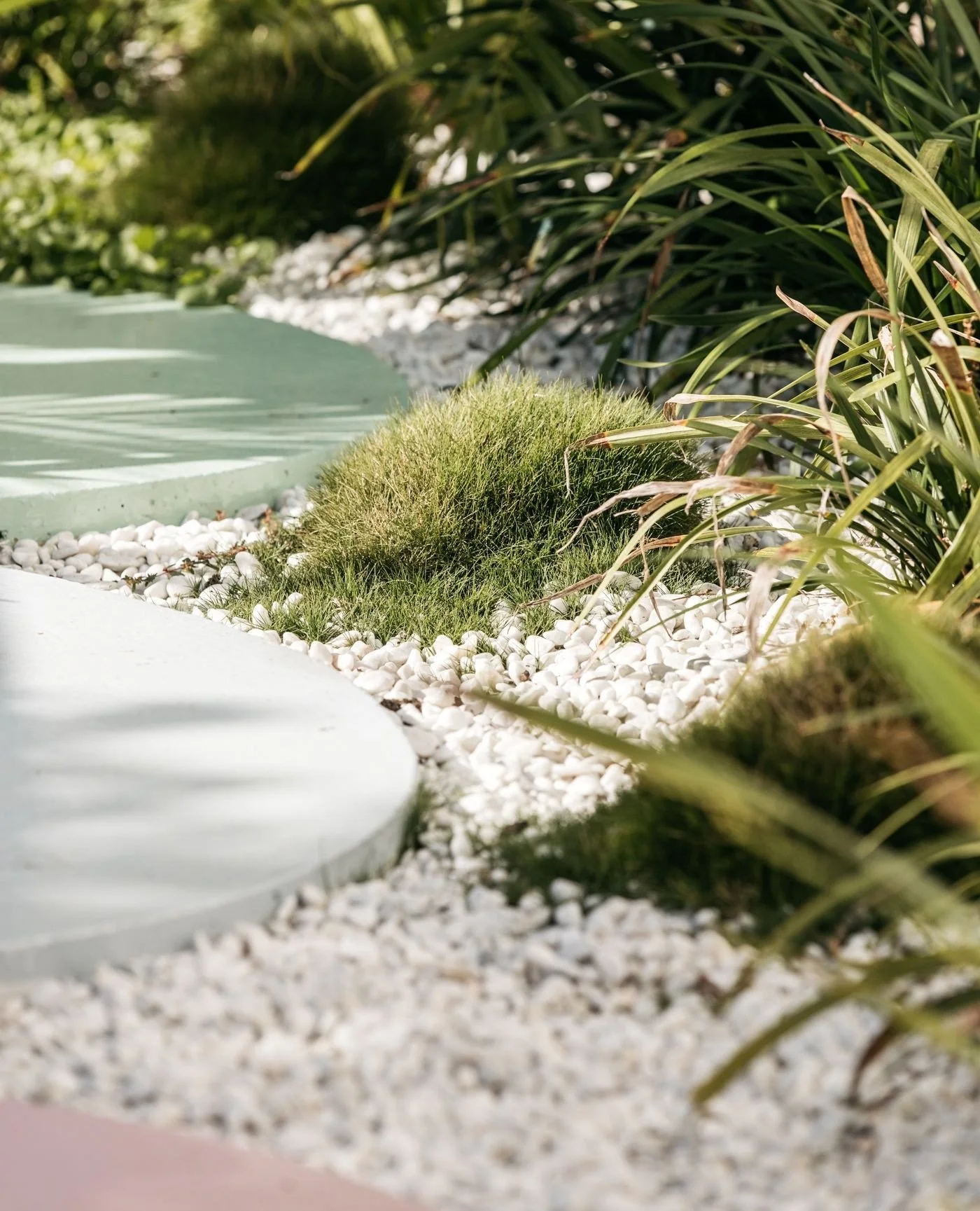 A consistent base of lush greenery and crisp white pebble mulch provides a neutral canvas for these feature pastel concrete steppers. The curated mix allows pops of colour to stand out without overwhelming the senses. Playful circular shapes and vari
