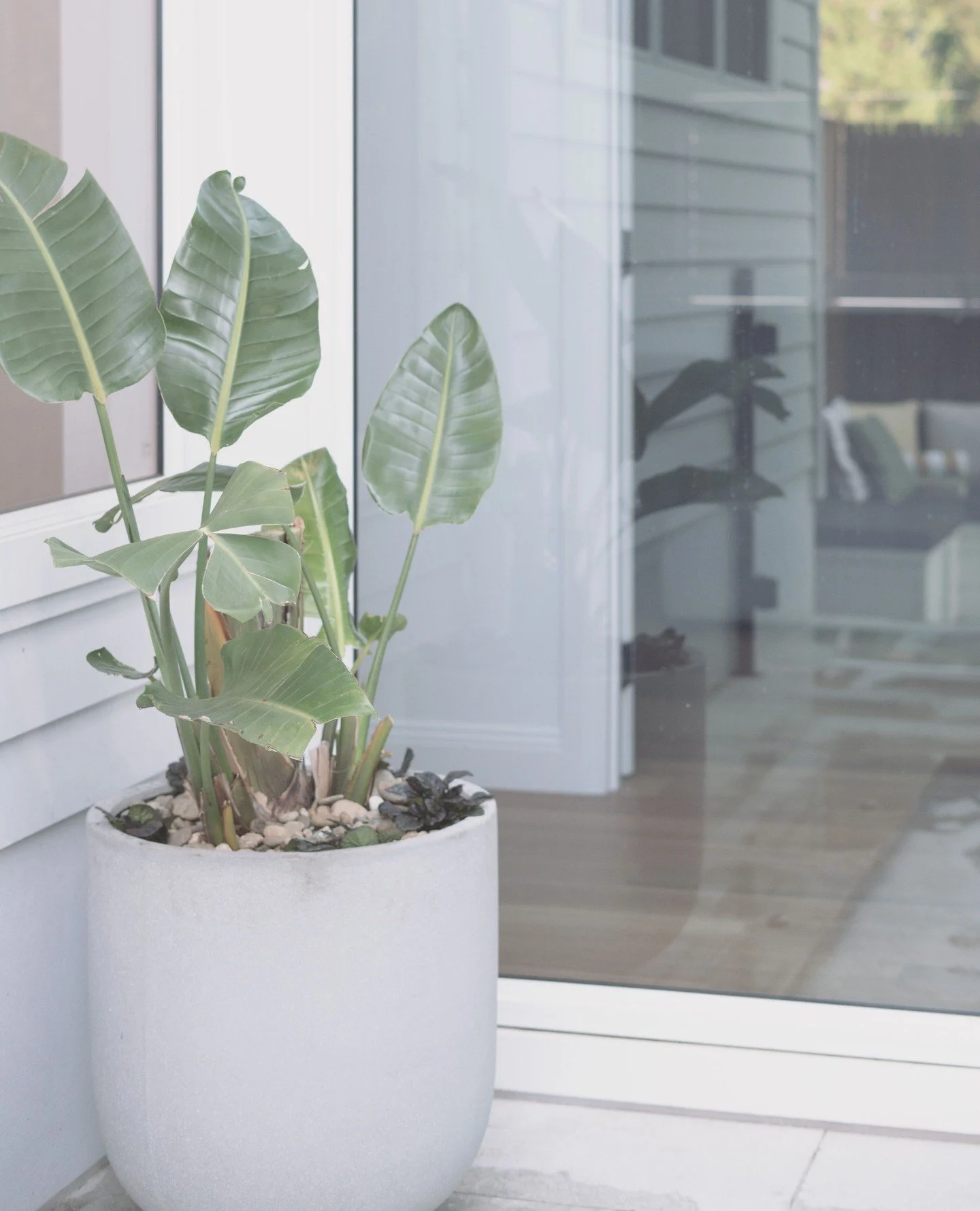 Styling is the final flourish of any landscape renovation. Decorative pots, furniture and thoughtful ornamentation shouldn&rsquo;t be underestimated, they transform a space. Here, a lightweight concrete pot with hardy foliage anchors the design, crea