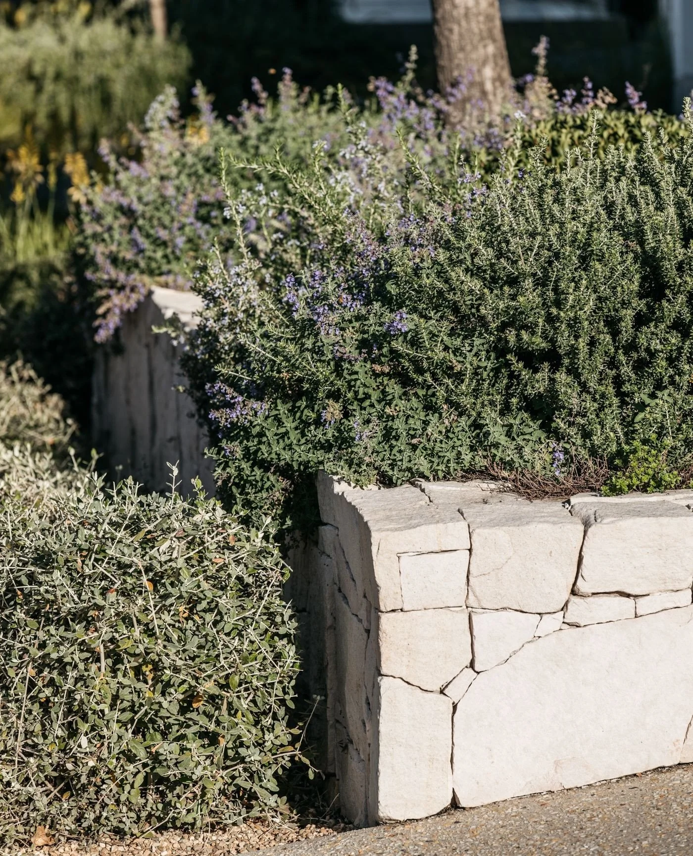 This corner brings together textured stonework with relaxed, flowing planting, creating a space that feels both grounded and effortless. The raised wall provides definition and height, while the planting softens the edges and spills gently over, blur