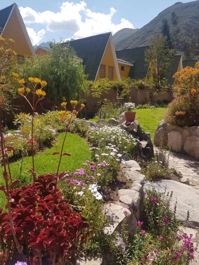 jardin.jpeg