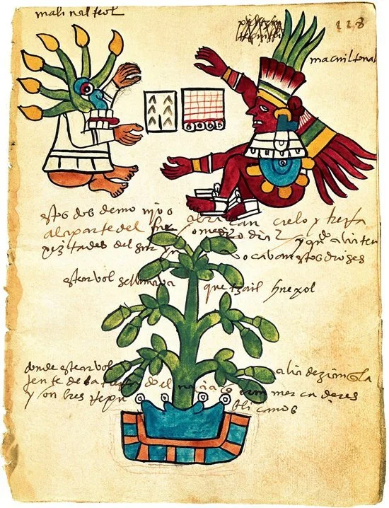cp-arbolcac-codex-tudela_2823b3e8_550x718.jpeg