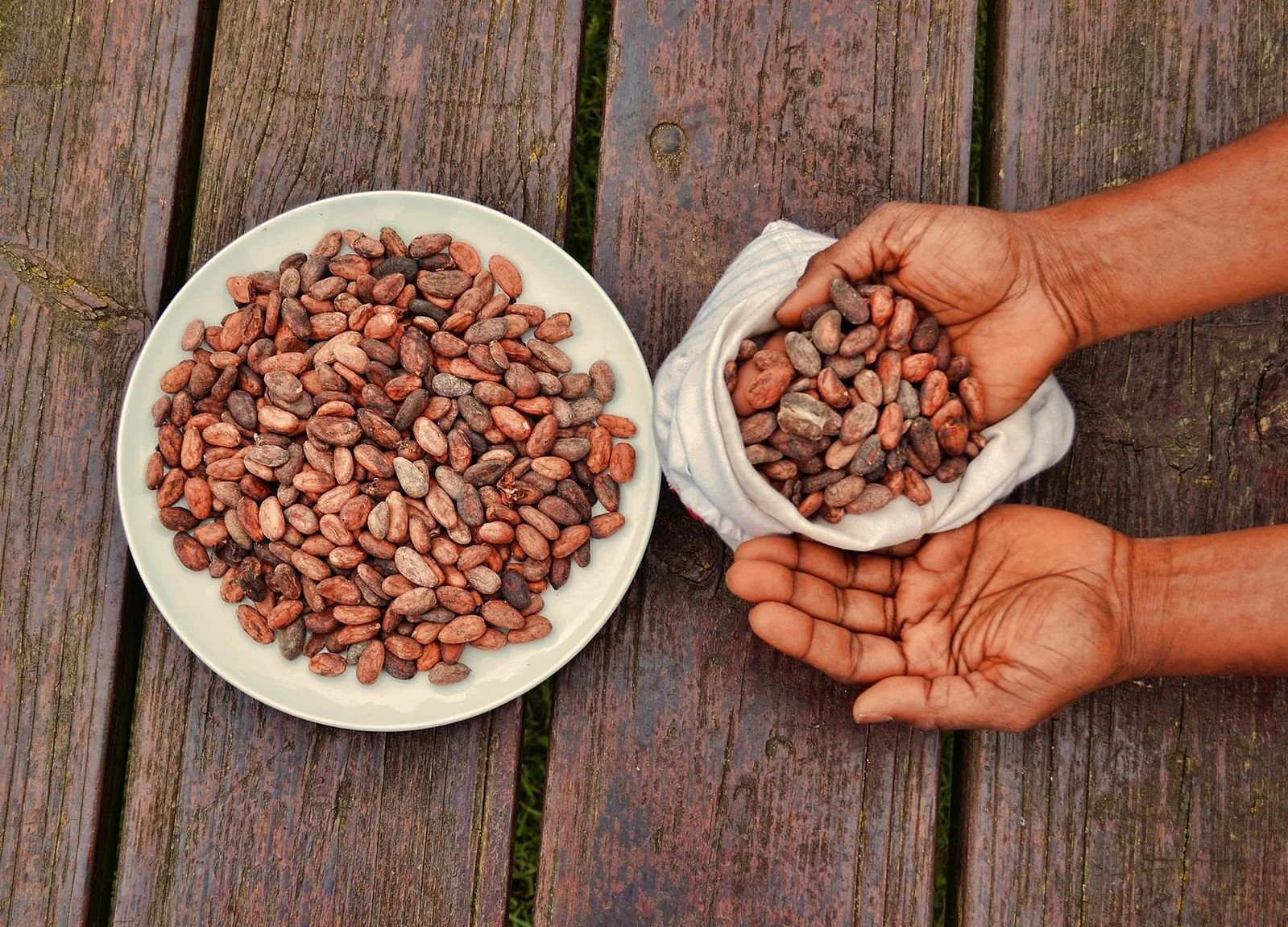 Cacao_beans.jpeg