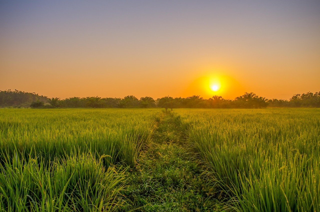 Vaisakhi - Thanksgiving and remembrance of a cyclic lifestyle and the creation of Khalsa