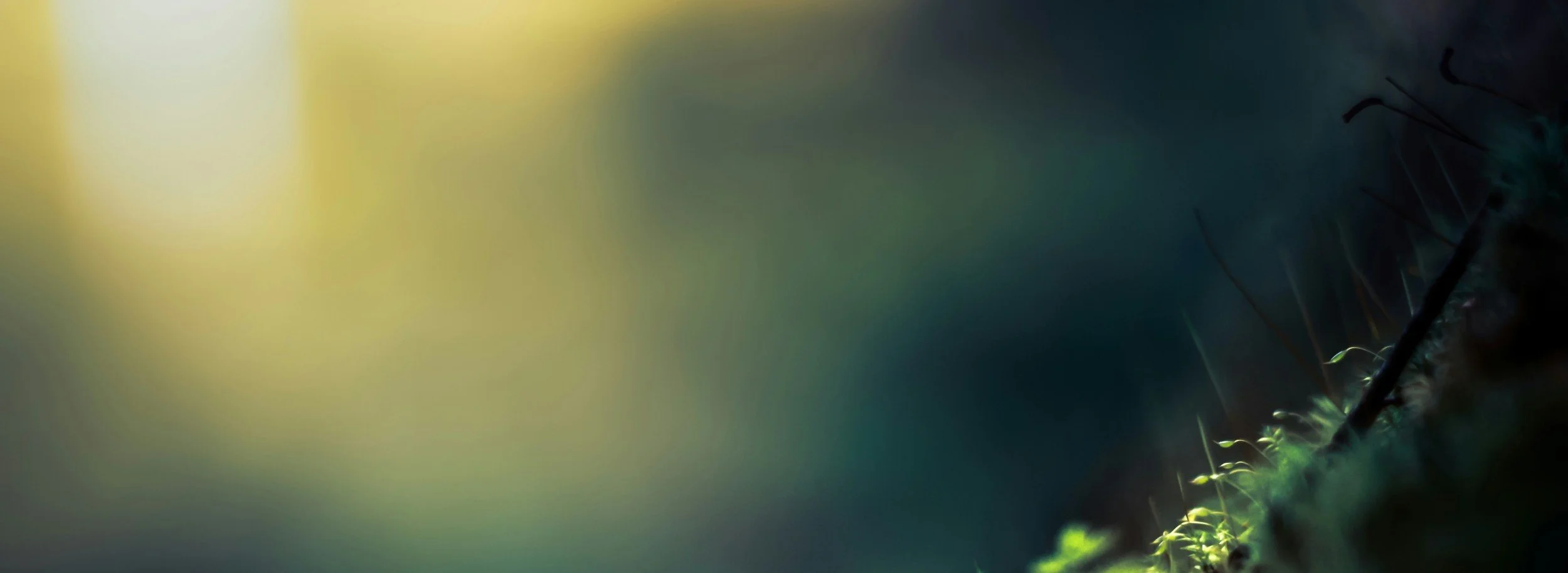 Gurmat - The art of spiritual wisdom