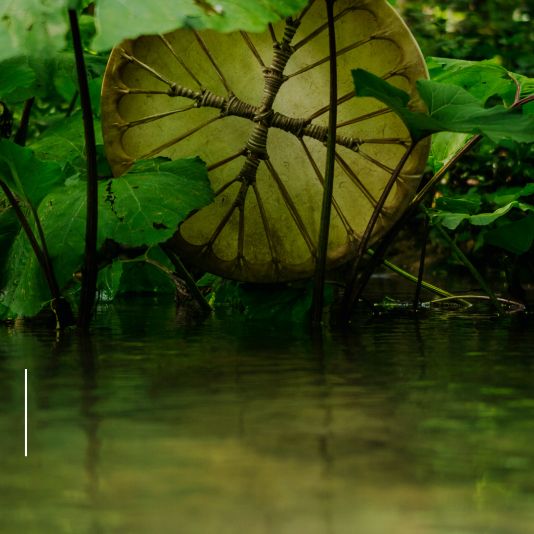 Ritual de Cura Xamânico