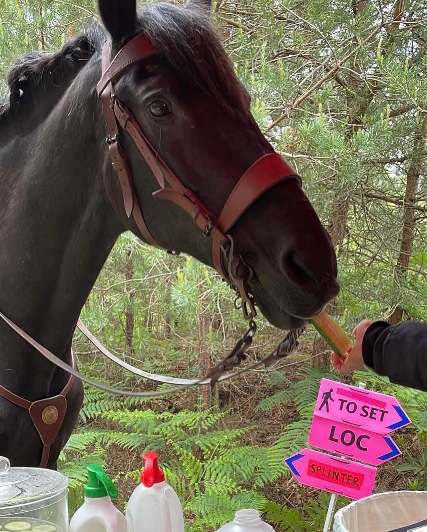 FUELLING 4 SERIES  OF THE WITCHER