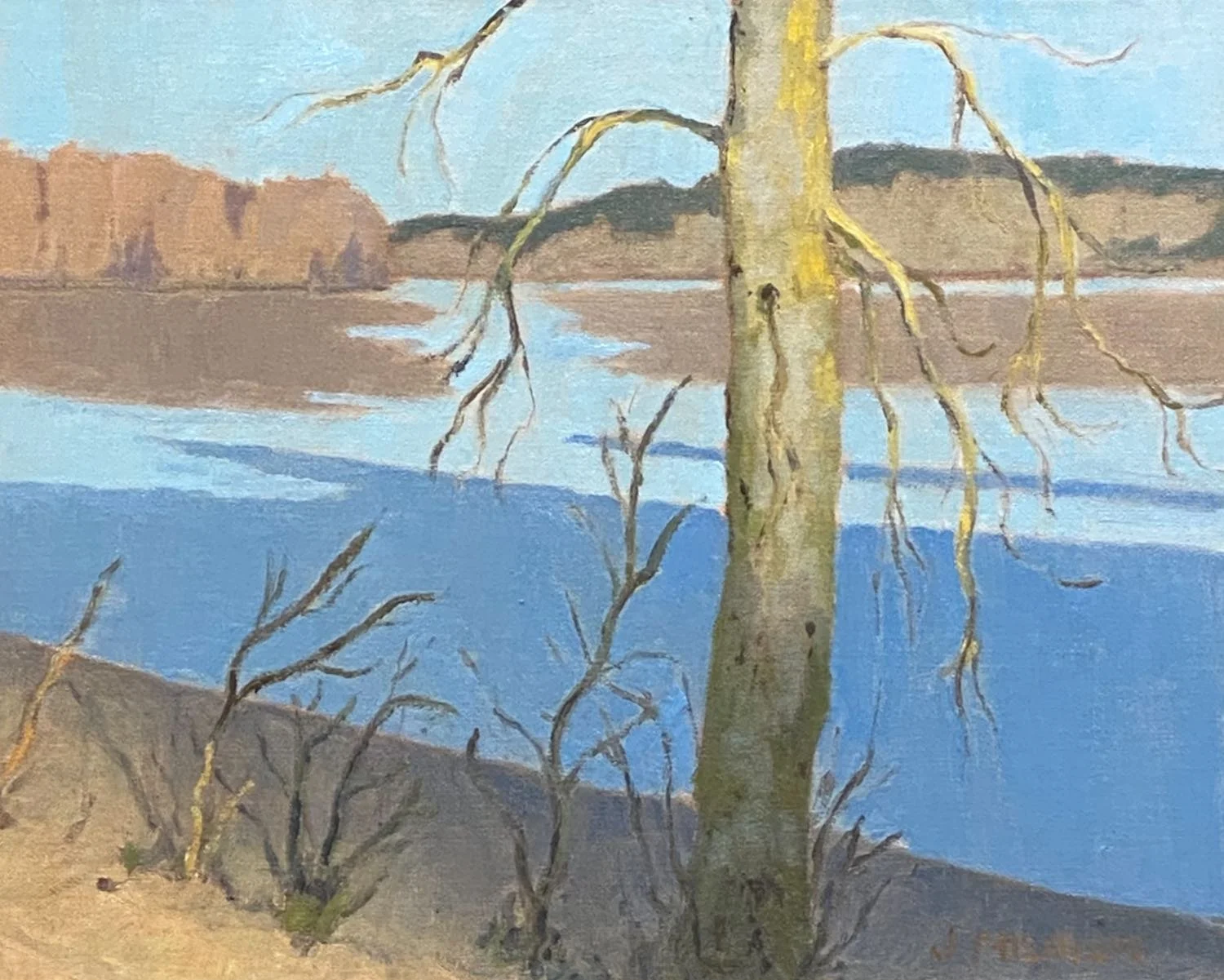 Morning Light on the River