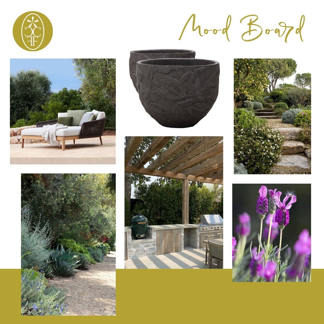 A Moodboard for a dry, Mediterranean style garden, a natural / rustic yet elegant feel with a lightly refined materials palette and space for outdoor dining on those warm summer evenings.

#drygarden #gardendesign #drygardenideas #mediterraneangarden