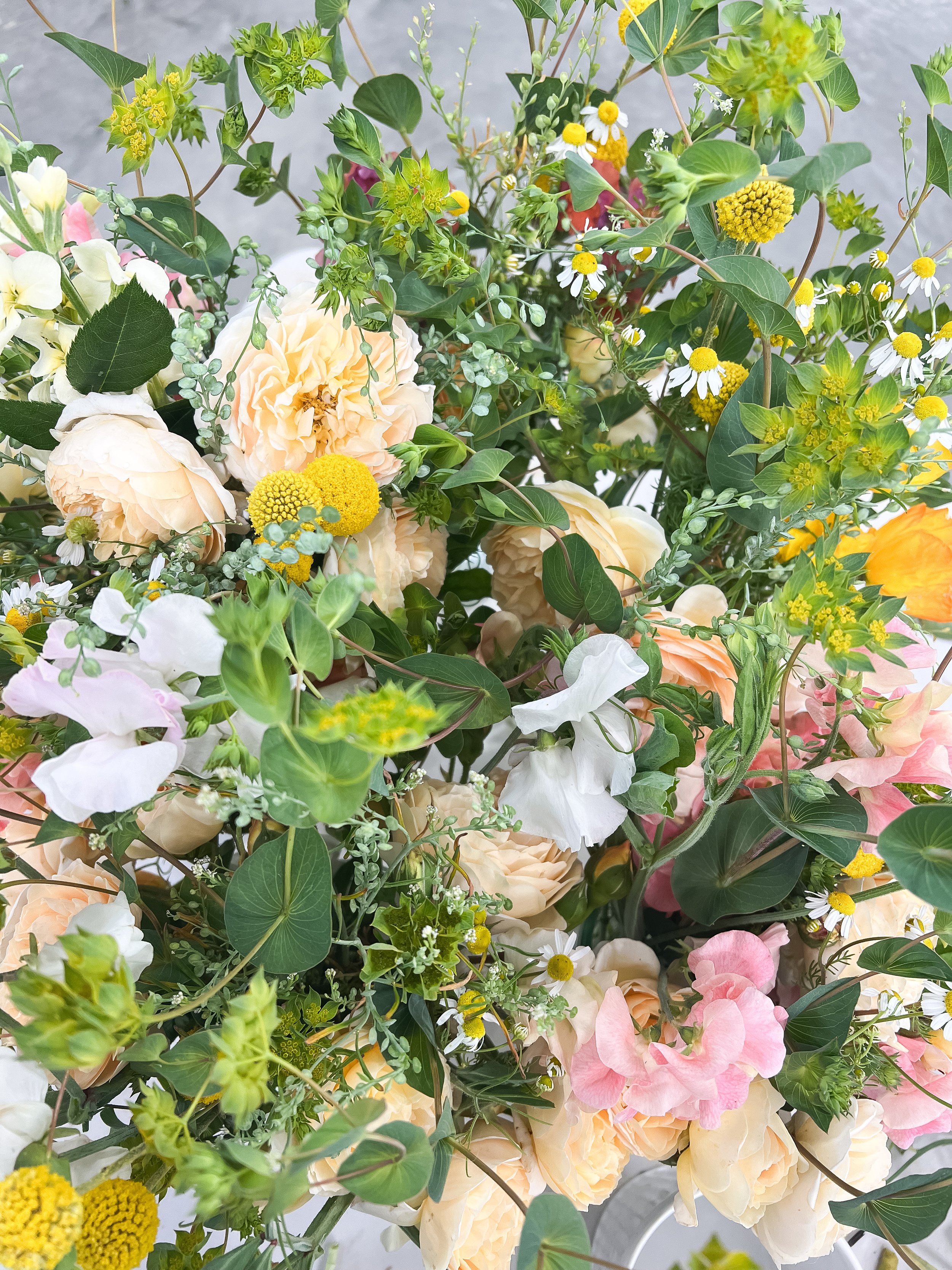 IMG_8023.jpeg