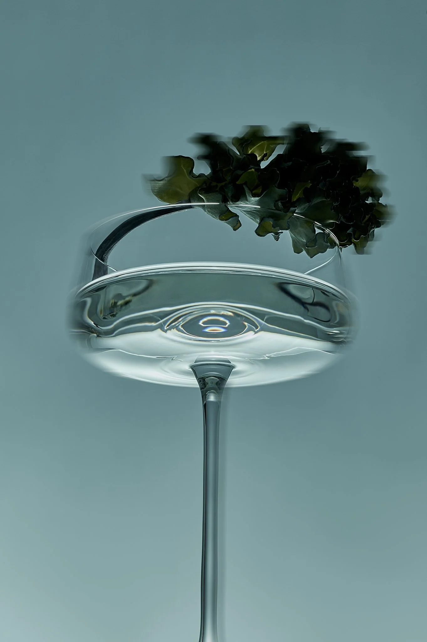 Annie_x_Veega_Cocktail_Test_ (13).jpg