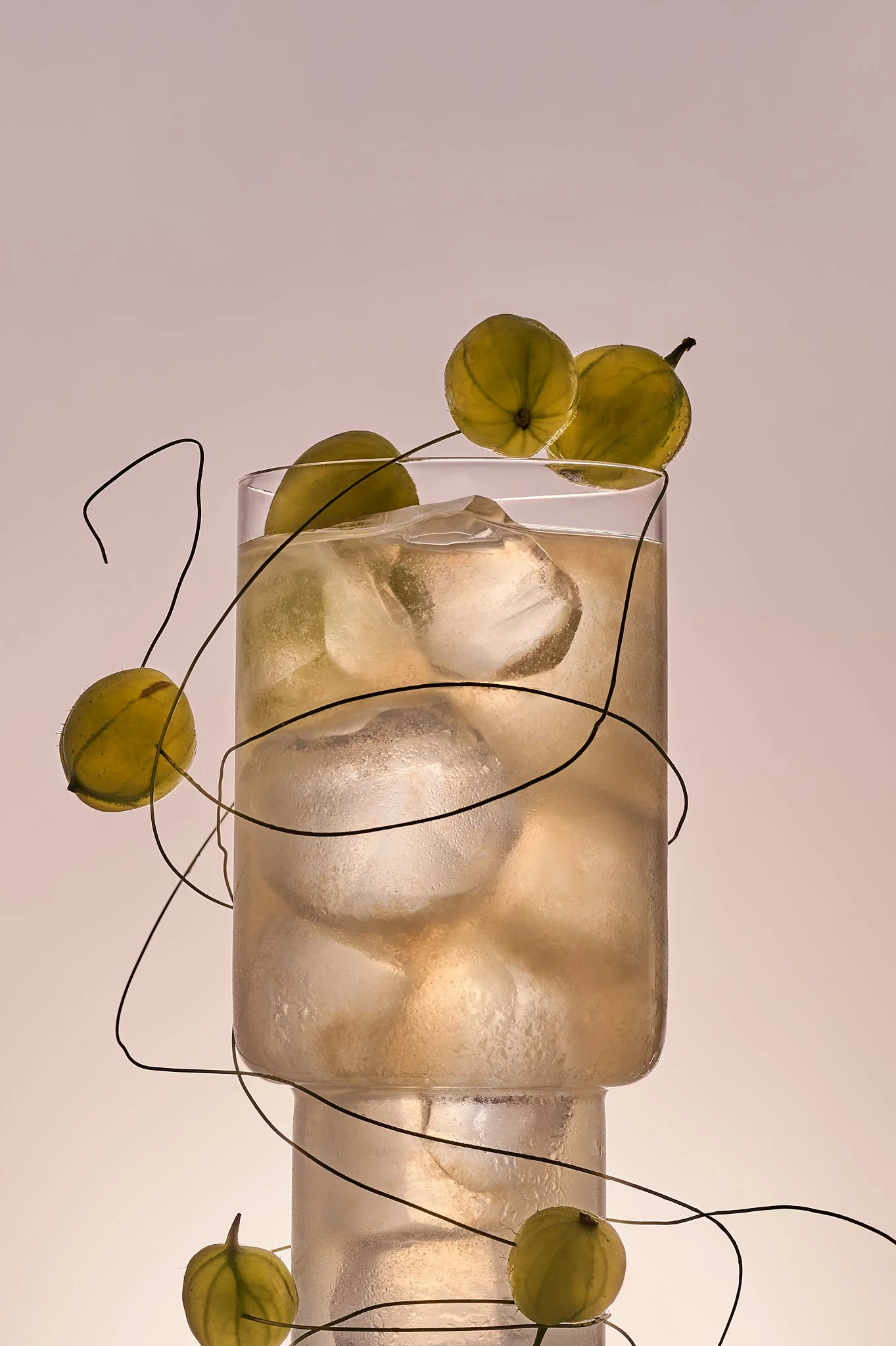 Annie_x_Veega_Cocktail_Test_ (21).jpg