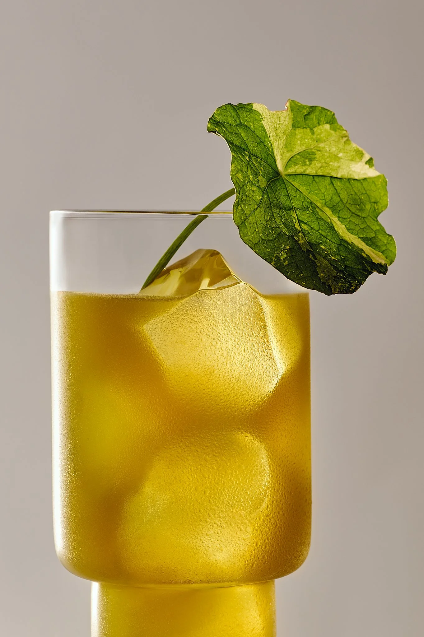 Annie_x_Veega_Cocktail_Test_ (5).jpg