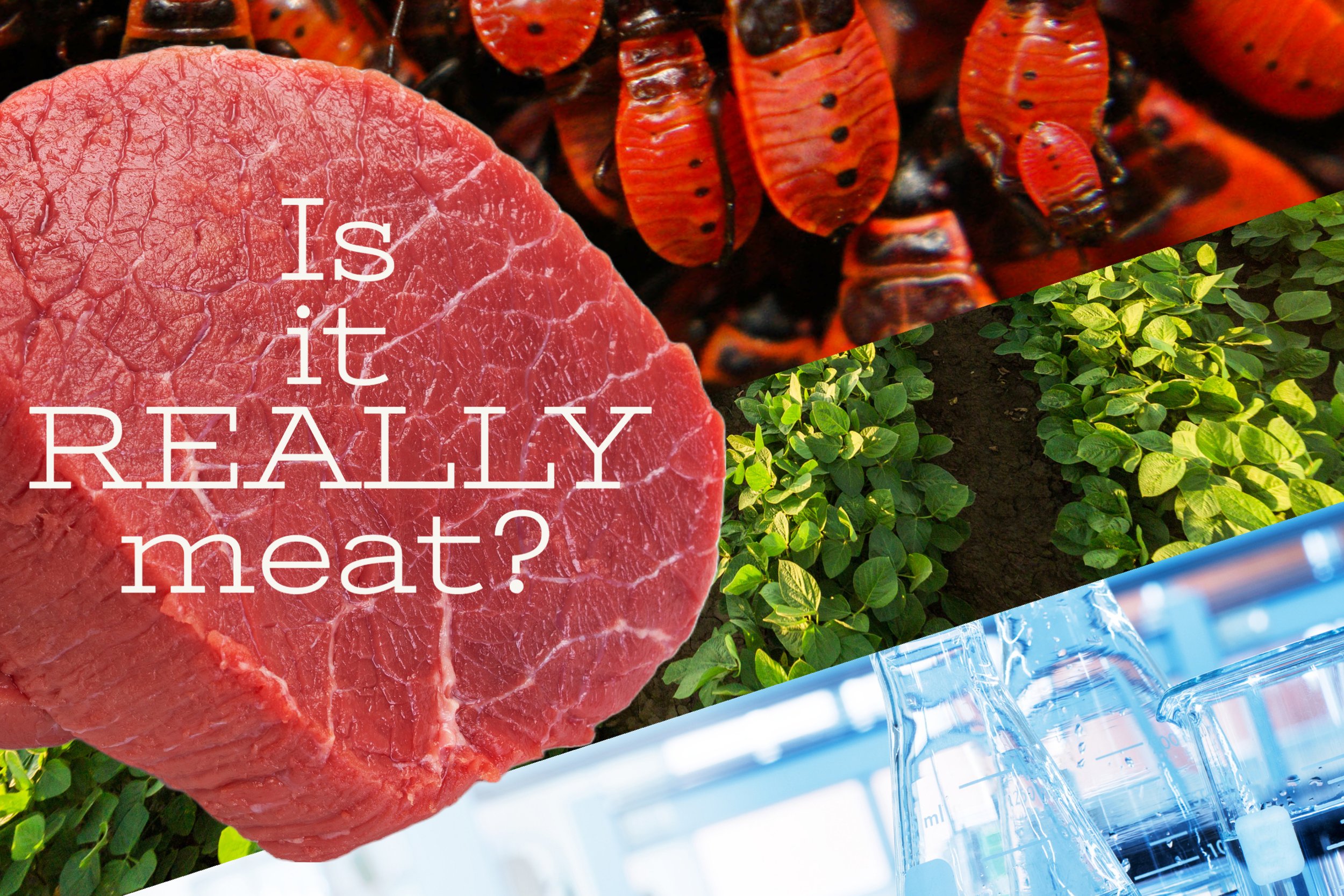 New Meat