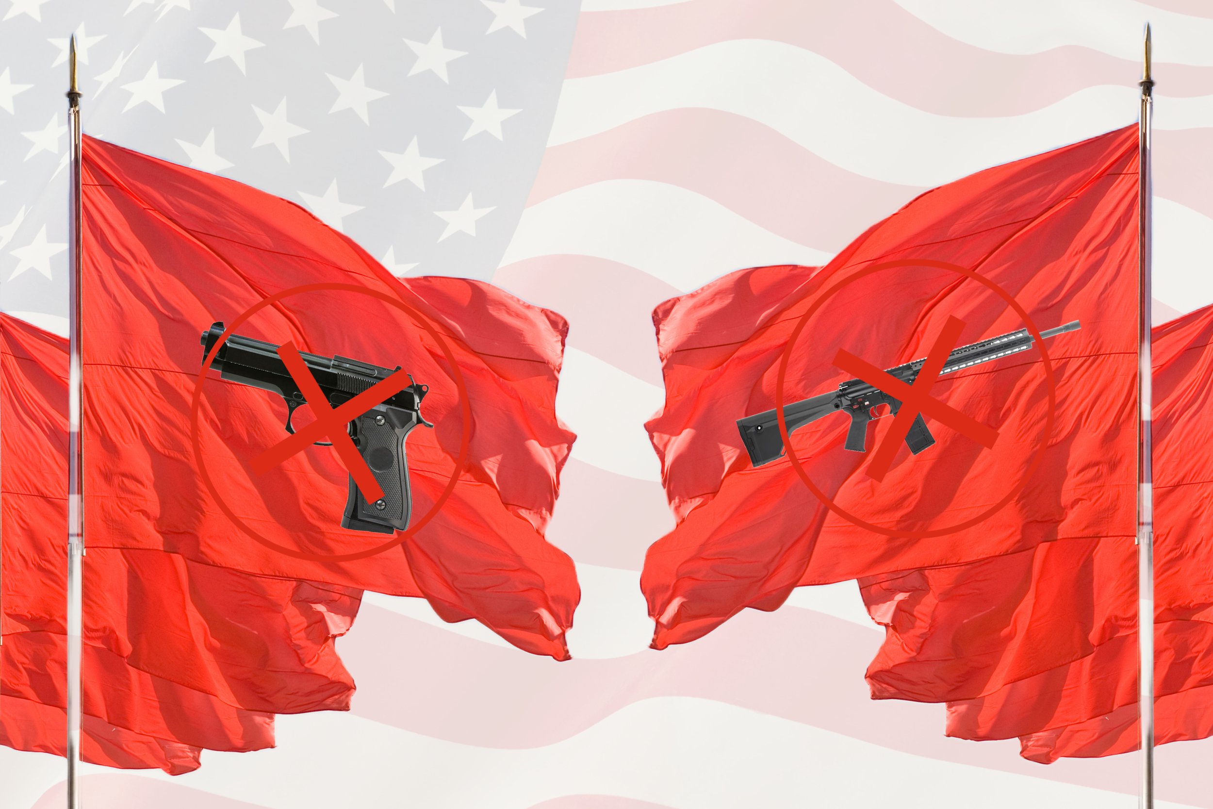 Red Flag Gun Laws
