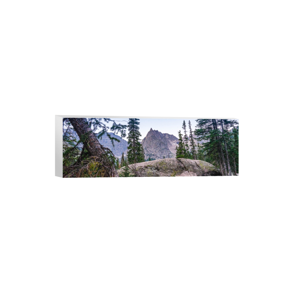 ptq_7_2_0_1000_6000_2000_0_false_ffffff_0_0_.png