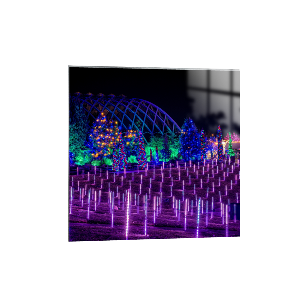 ptq_13_0_1248_0_5001_5001_0_false_ffffff_0_0_.png
