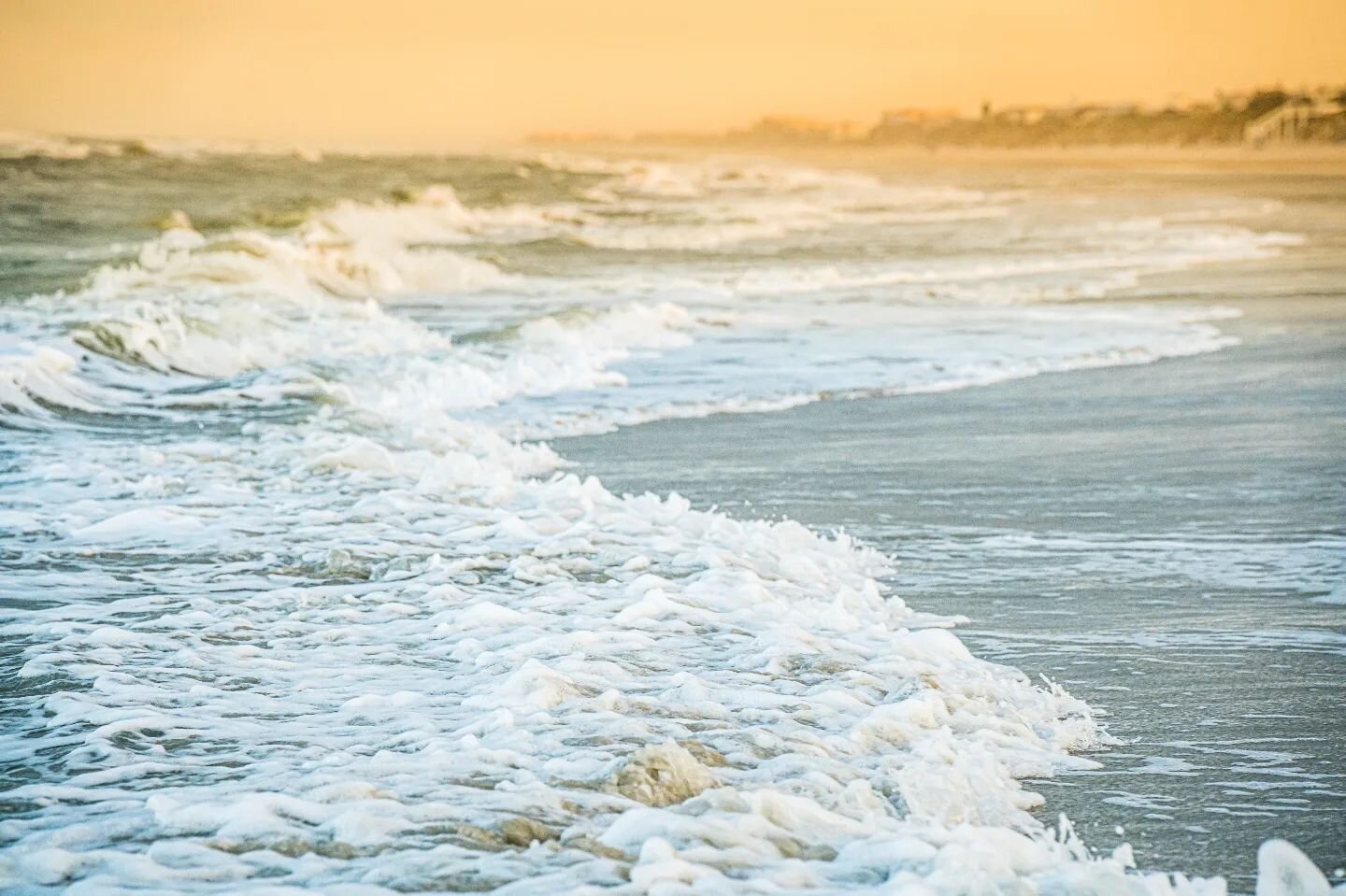 What an incredible trip to St. Augustine! 🌊🐠🌞 We spent so much time on the beach, fishing and exploring the shore. We even found some fascinating critters, like dolphins, turtles, Jellyfish and crabs! 🦀🐚 The water was so clear and refreshing, an