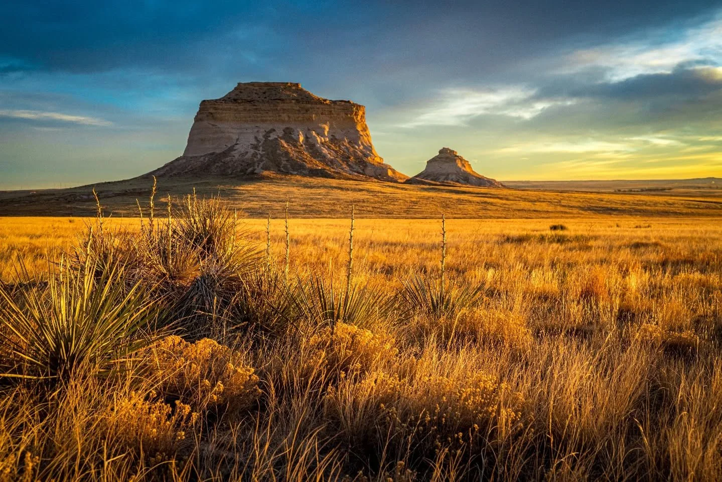 Out here, you can still feel the echo of the settlers chasing daylight across an endless horizon.

*

*

*

#PawneeNationalGrassland #PawneeGrasslands #ColoradoPhotography #ColoradoLandscape #ColoradoNature #VisitColorado #NatureColorado #OnlyInColor