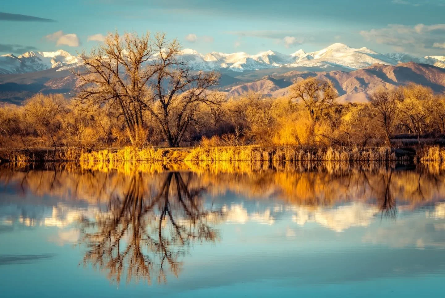 This weather has been unbelievable in the city this winter! If its not going to snow it might as well be nice out. Yesterday morning from St Vrain