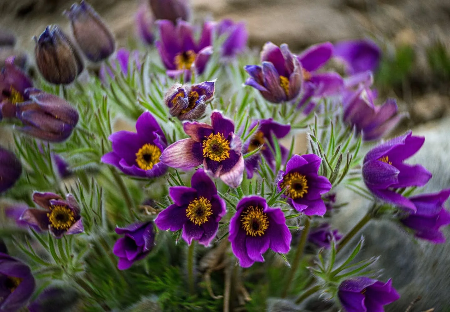 Blur the noise. Keep the color