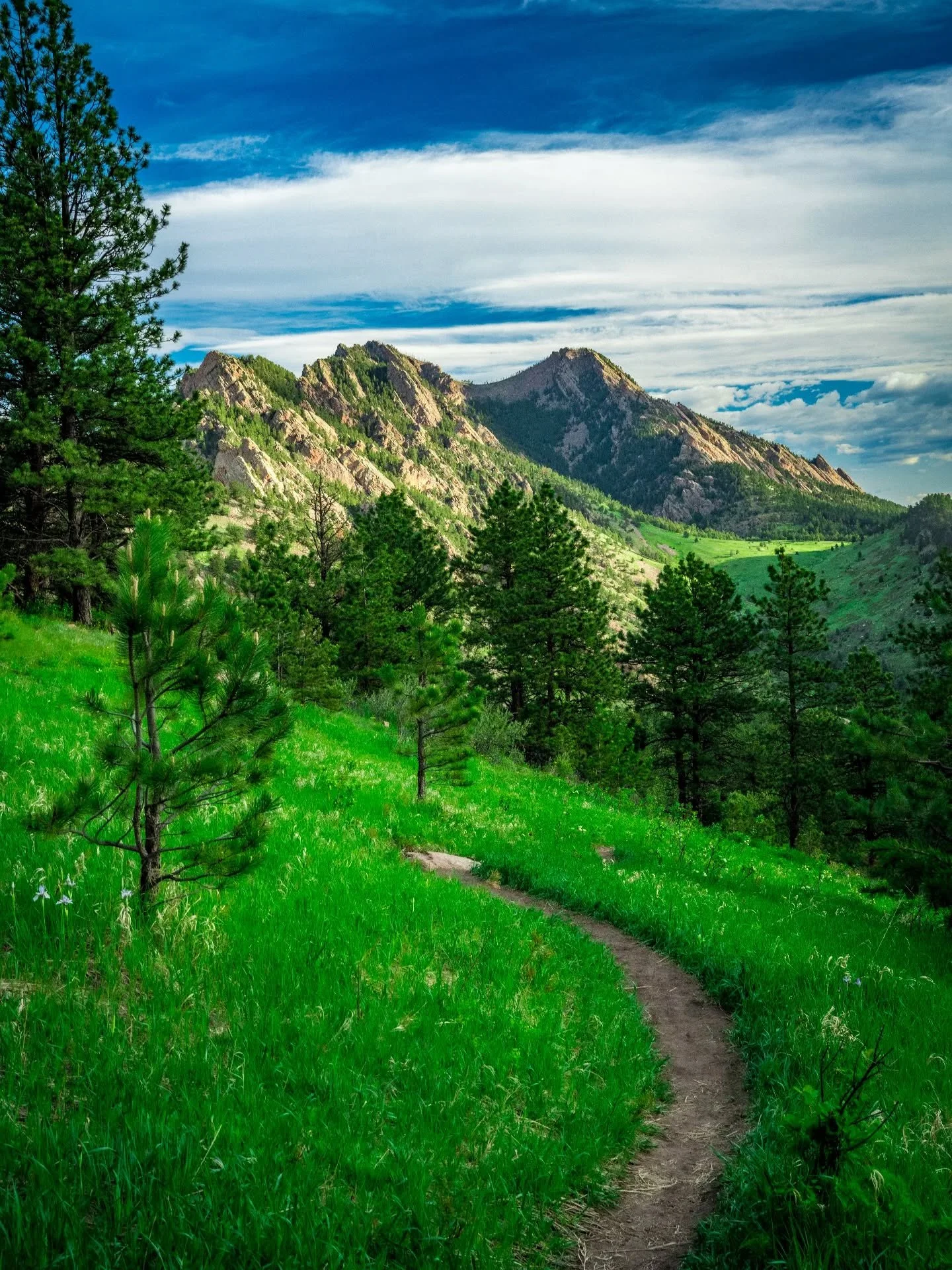 Spring time in the foothills