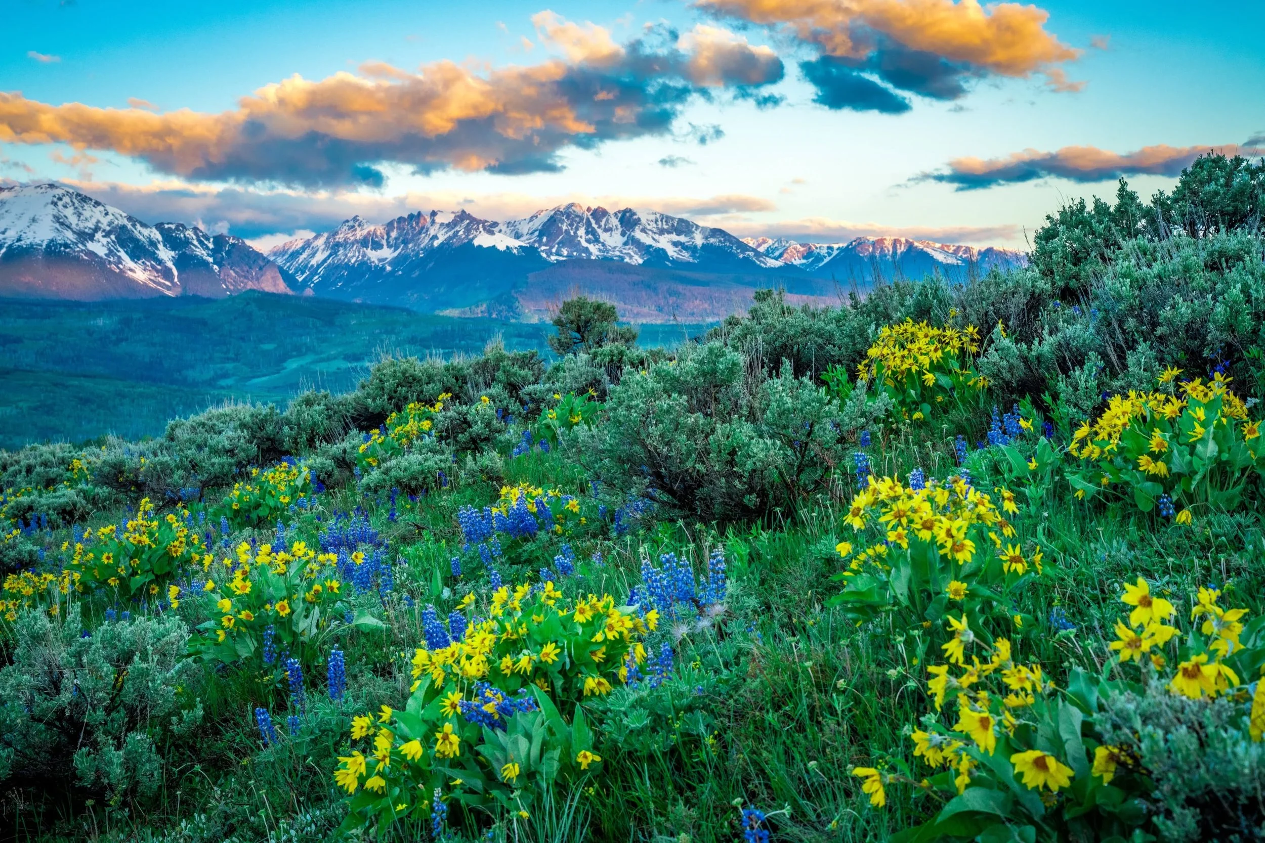 High above the valleys below, the Rockies prepare for their annual rebirth

June 2025