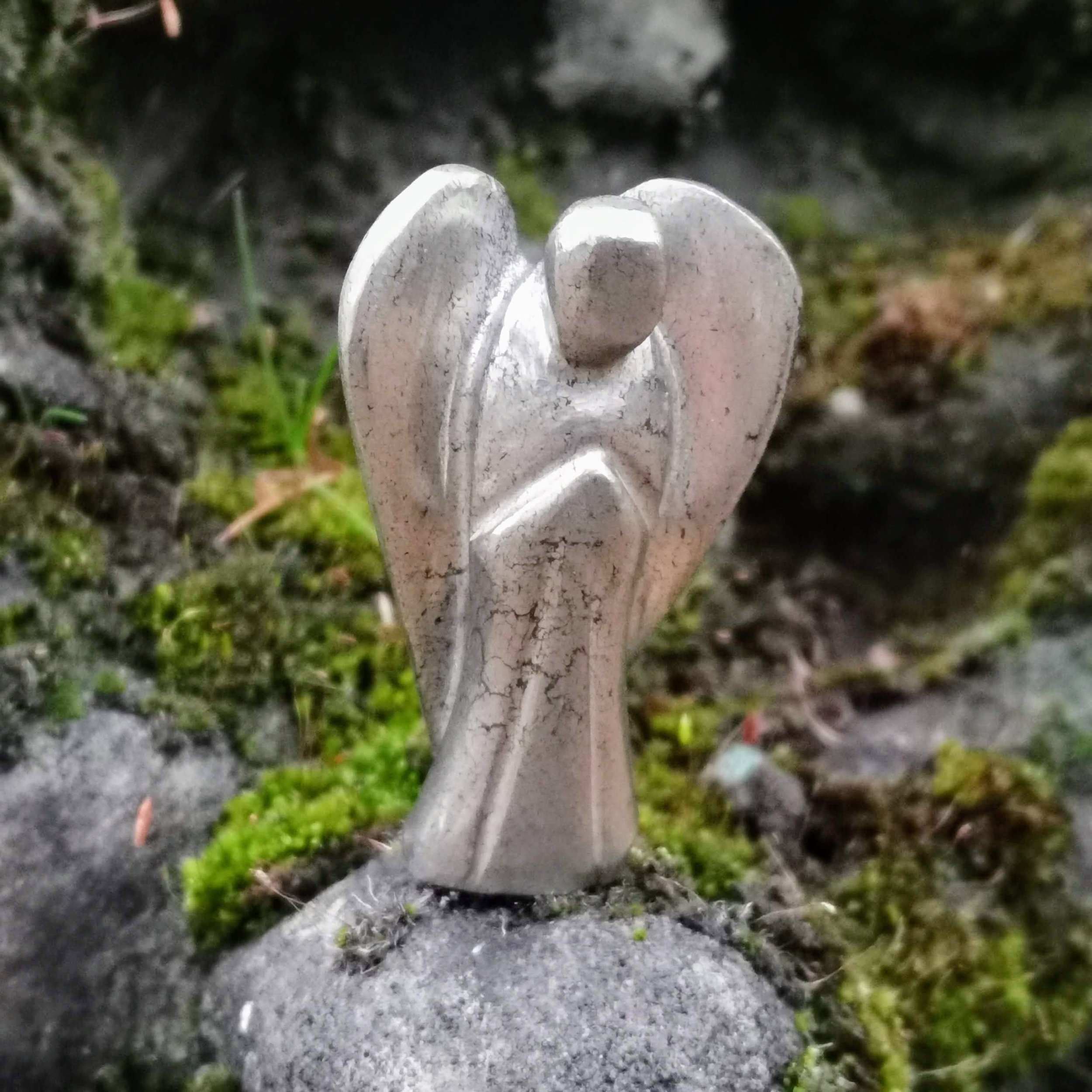 https://i.etsystatic.com/25315437/r/il/8b978e/2939686789/il_fullxfull.2939686789_r2hs.jpg