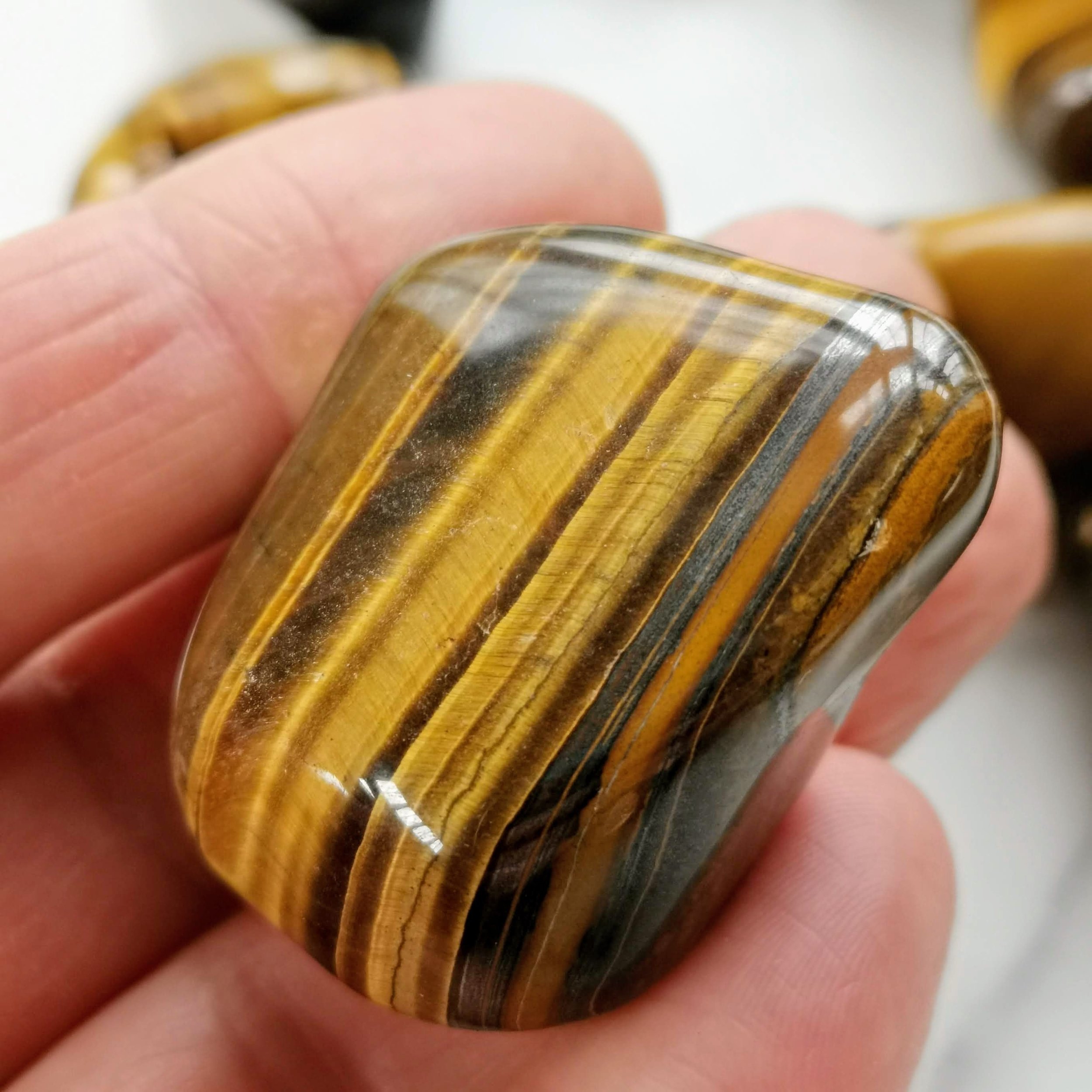https://i.etsystatic.com/25315437/r/il/81e23e/3060209135/il_fullxfull.3060209135_eh3f.jpg