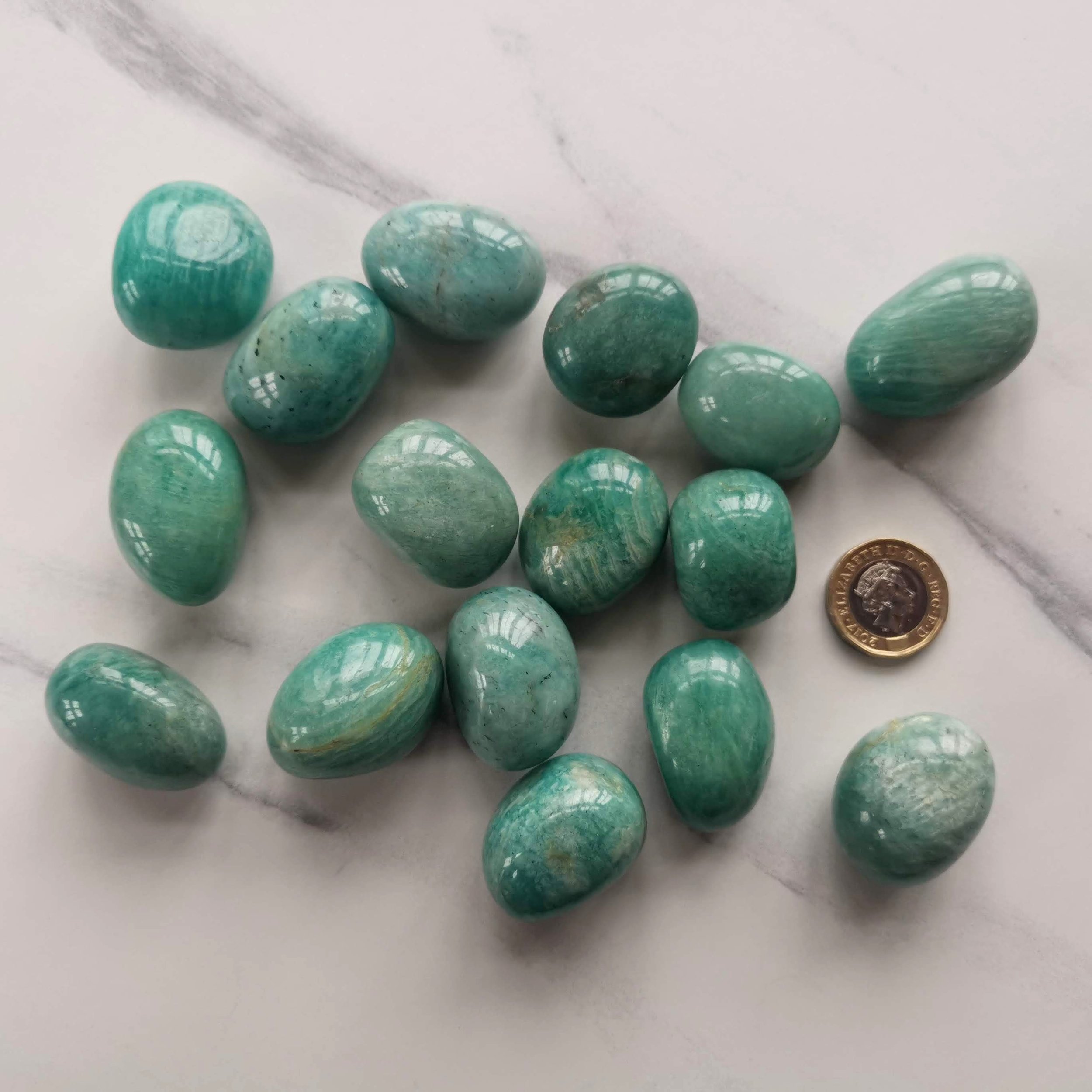 https://i.etsystatic.com/25315437/r/il/386ca4/2839839215/il_fullxfull.2839839215_1qe2.jpg