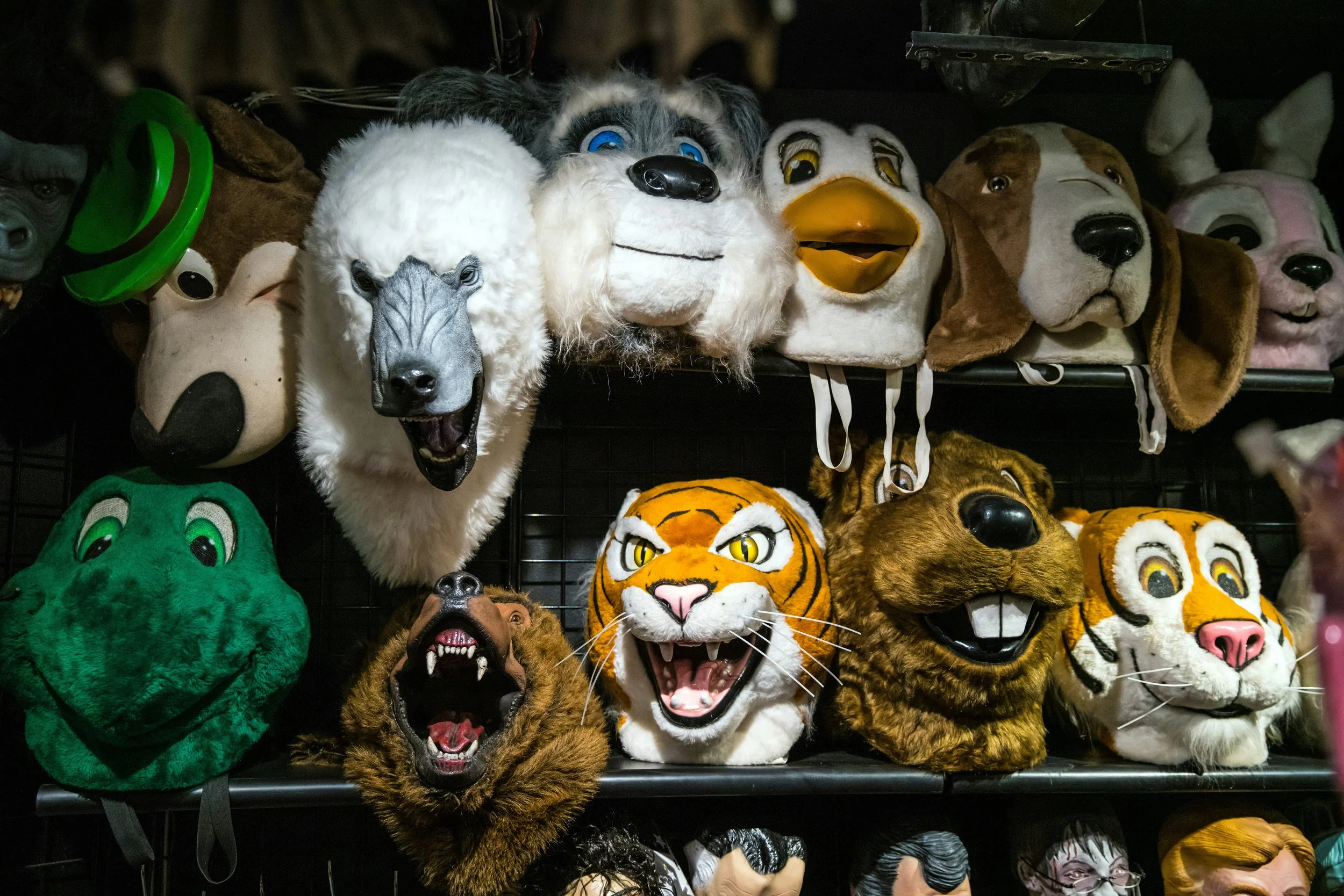 What Being a Mascot Taught Me About Marketing