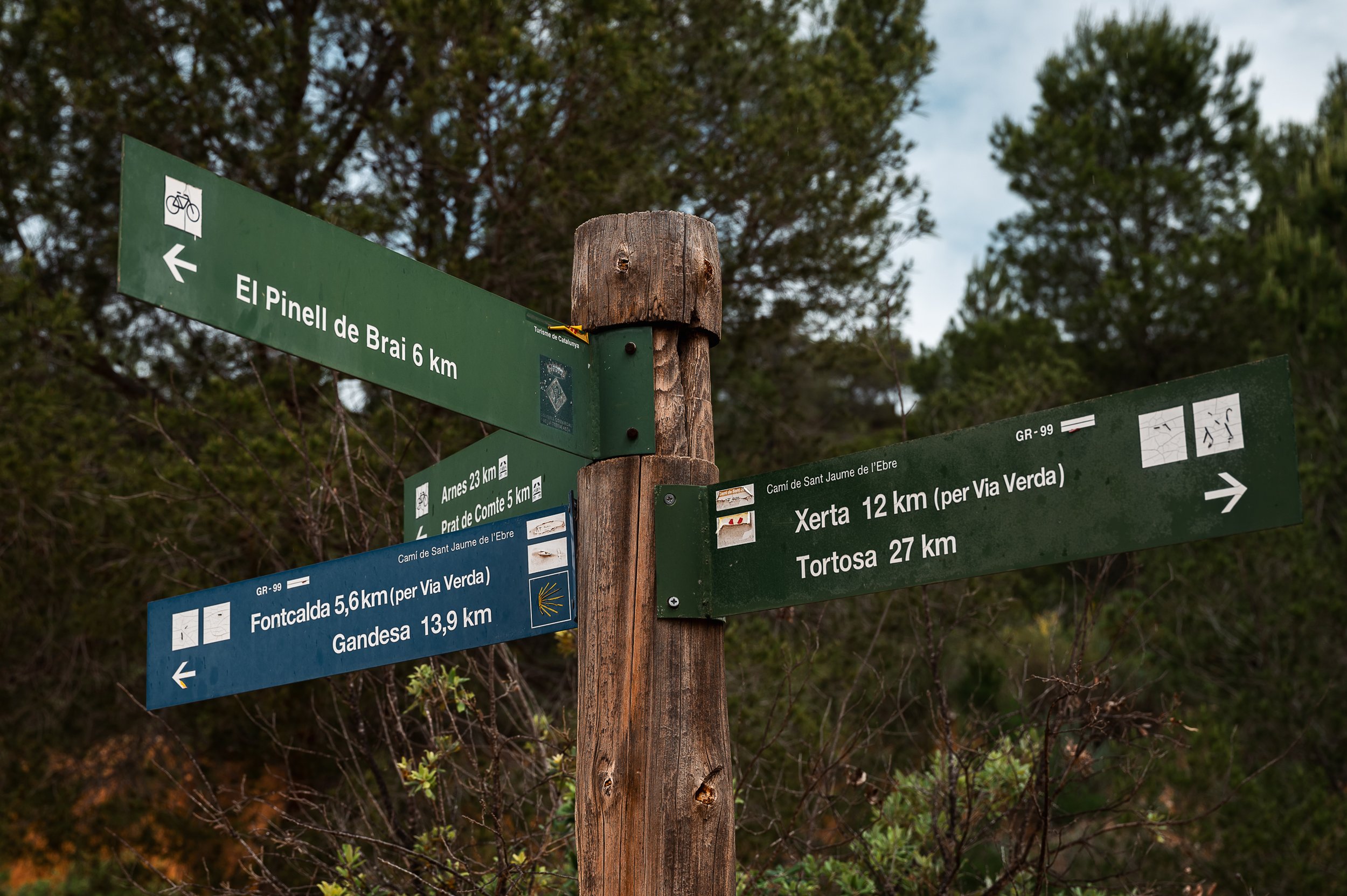 _DSC6051-Edit.jpg