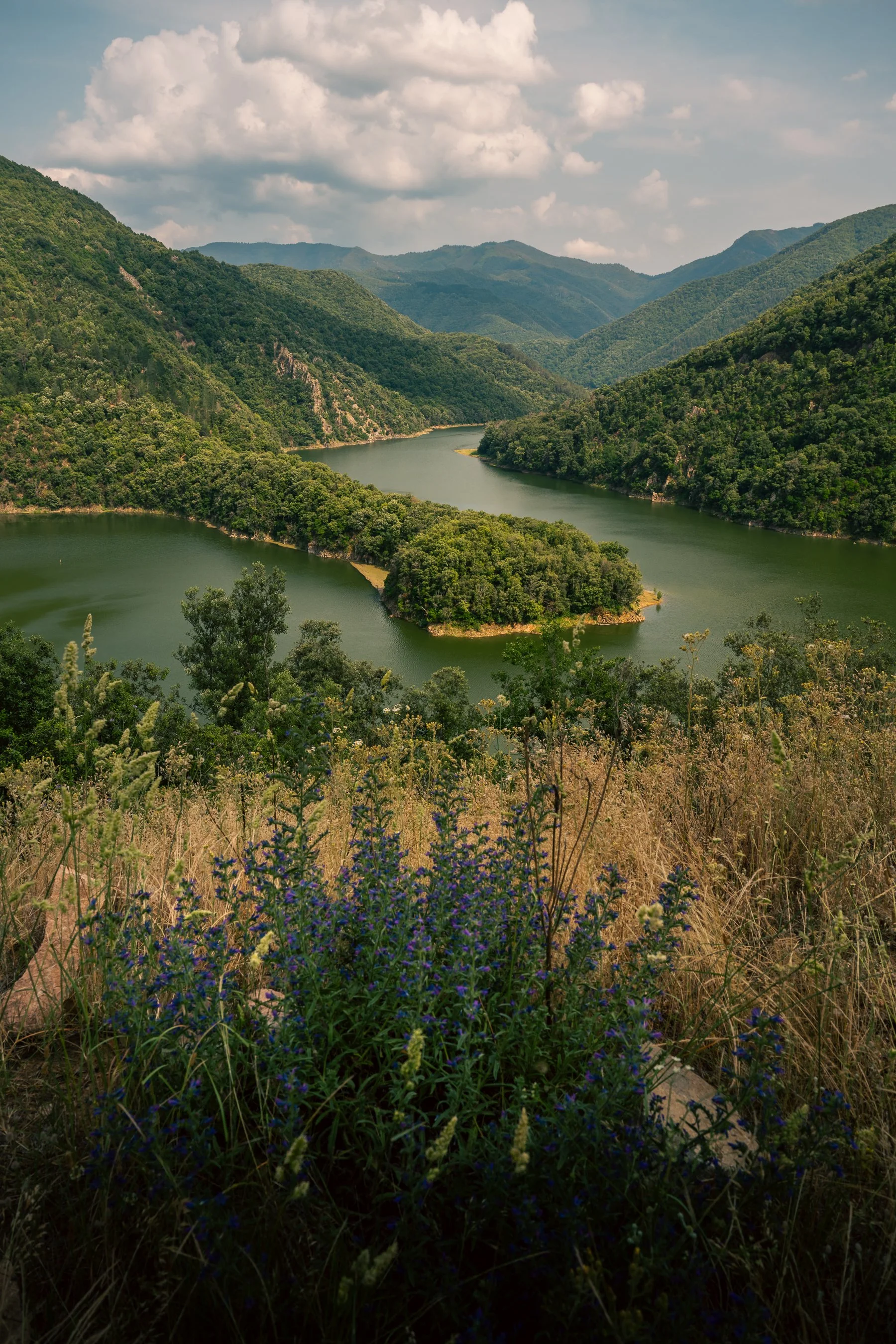 DSC_4920.jpg