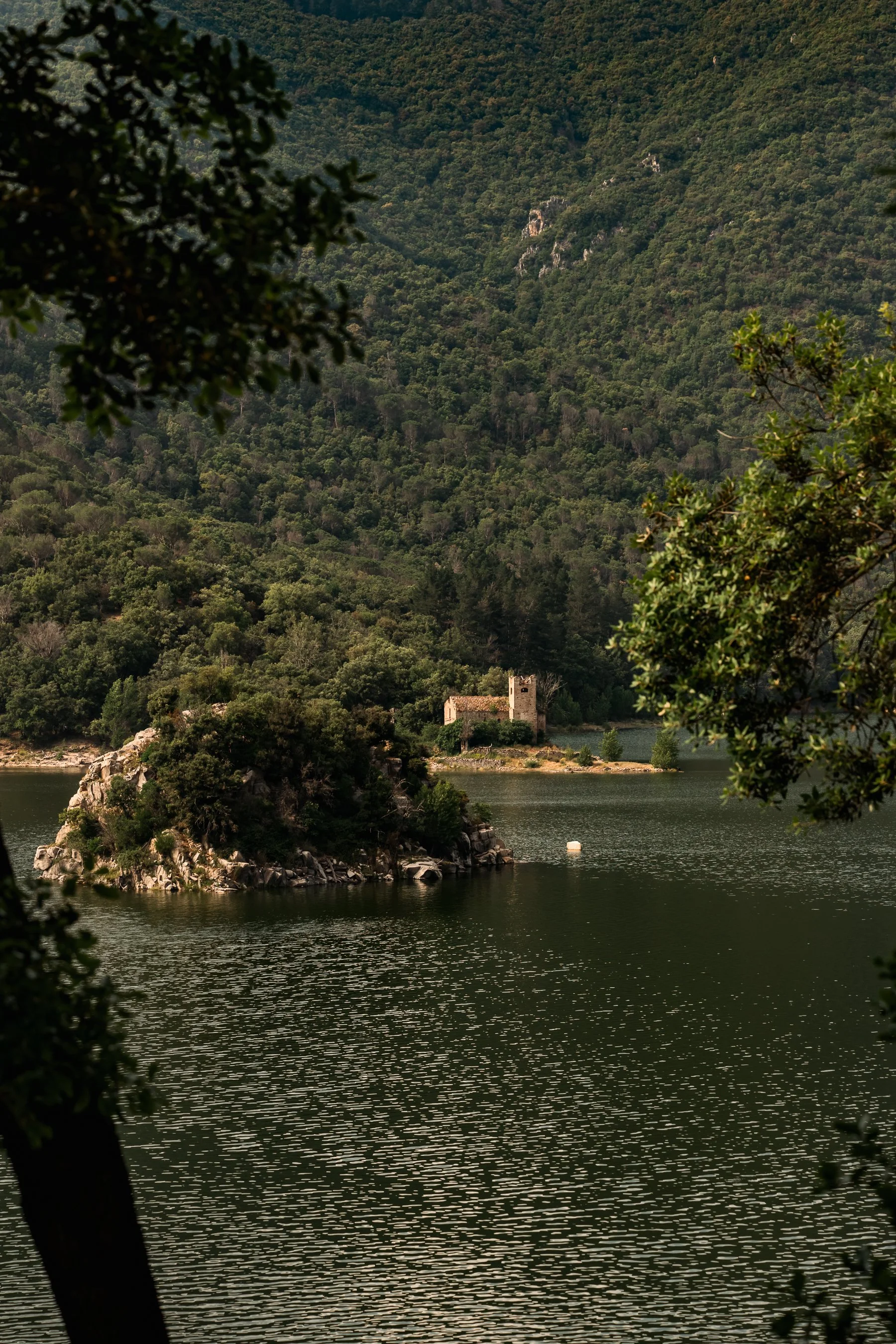 DSC_4944.jpg