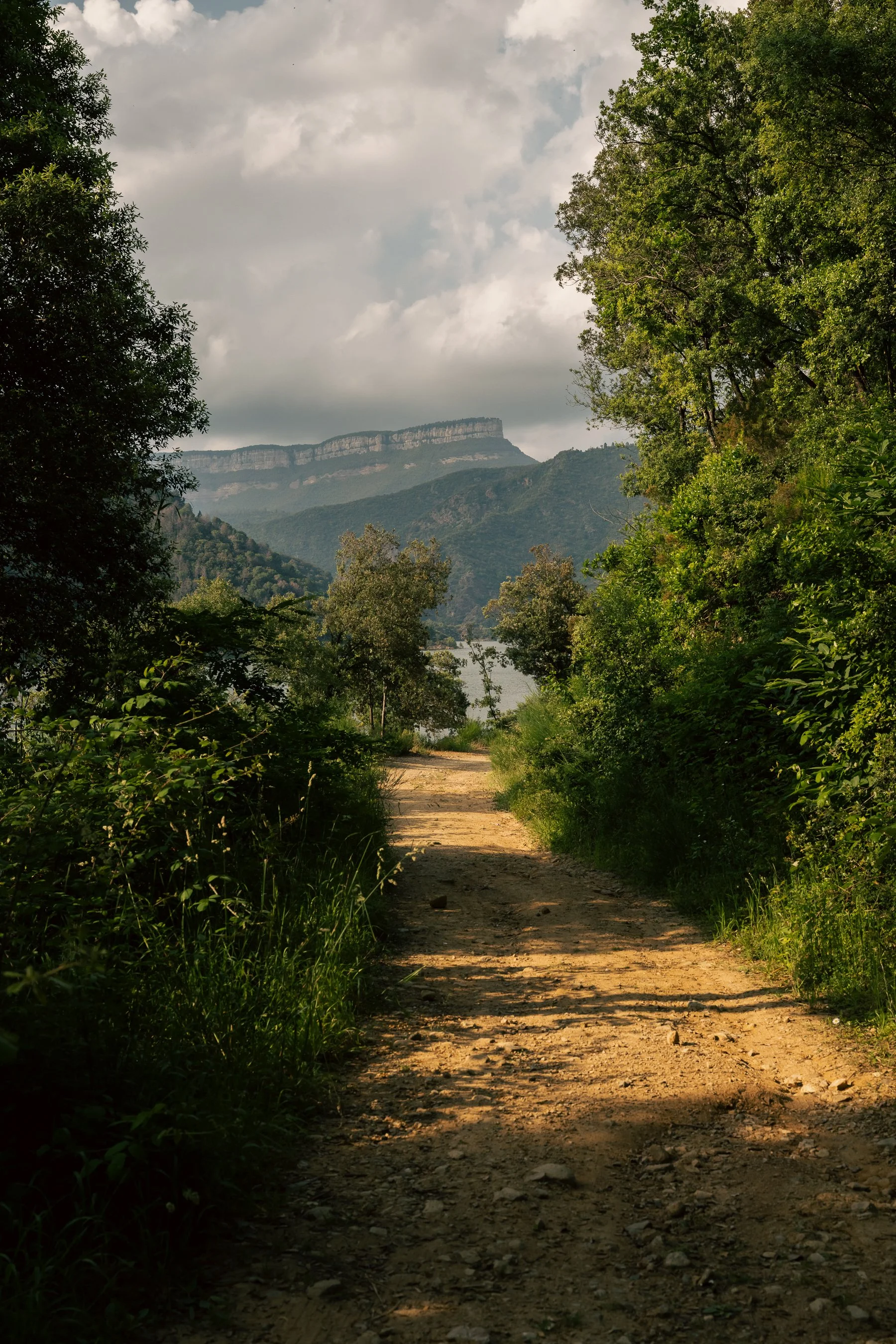 DSC_4956.jpg