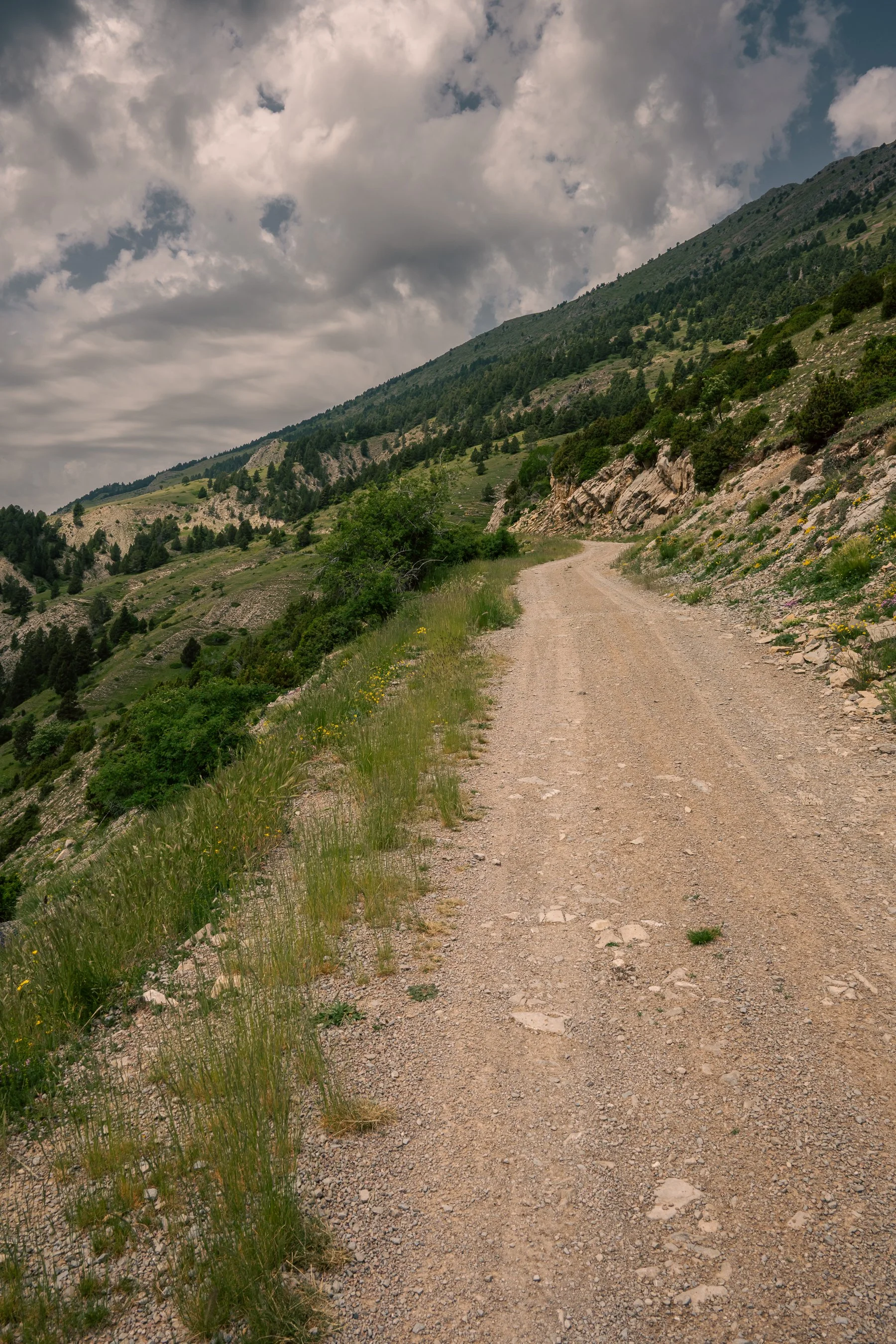 DSC_5781.jpg