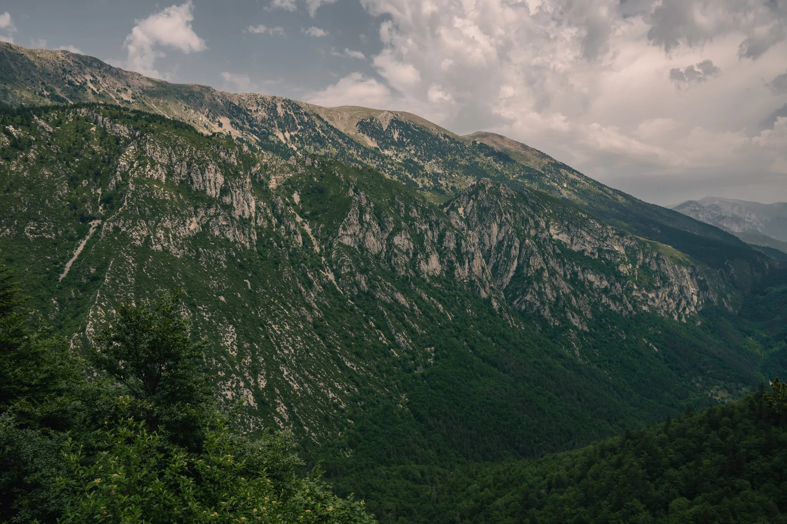 DSC_5782.jpg