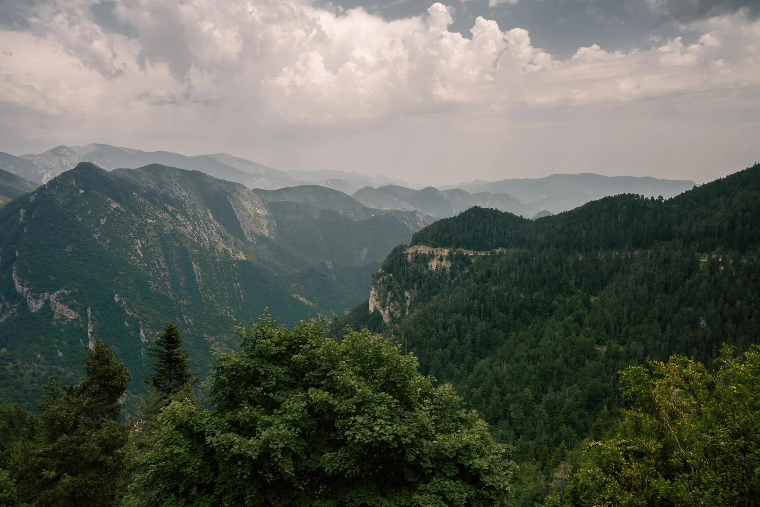 DSC_5791.jpg