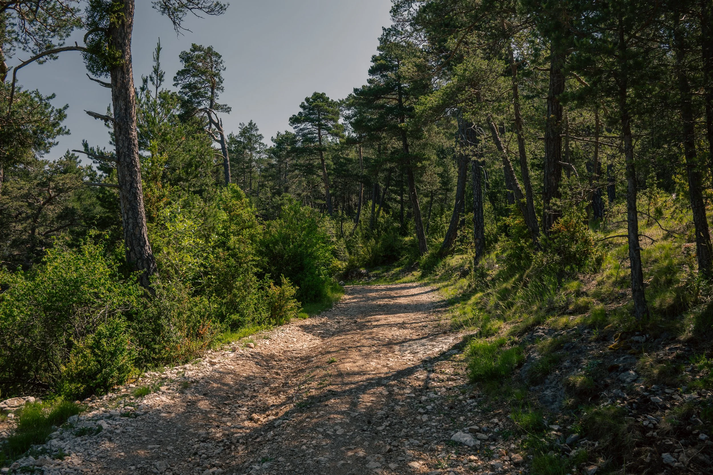 DSC_5812.jpg
