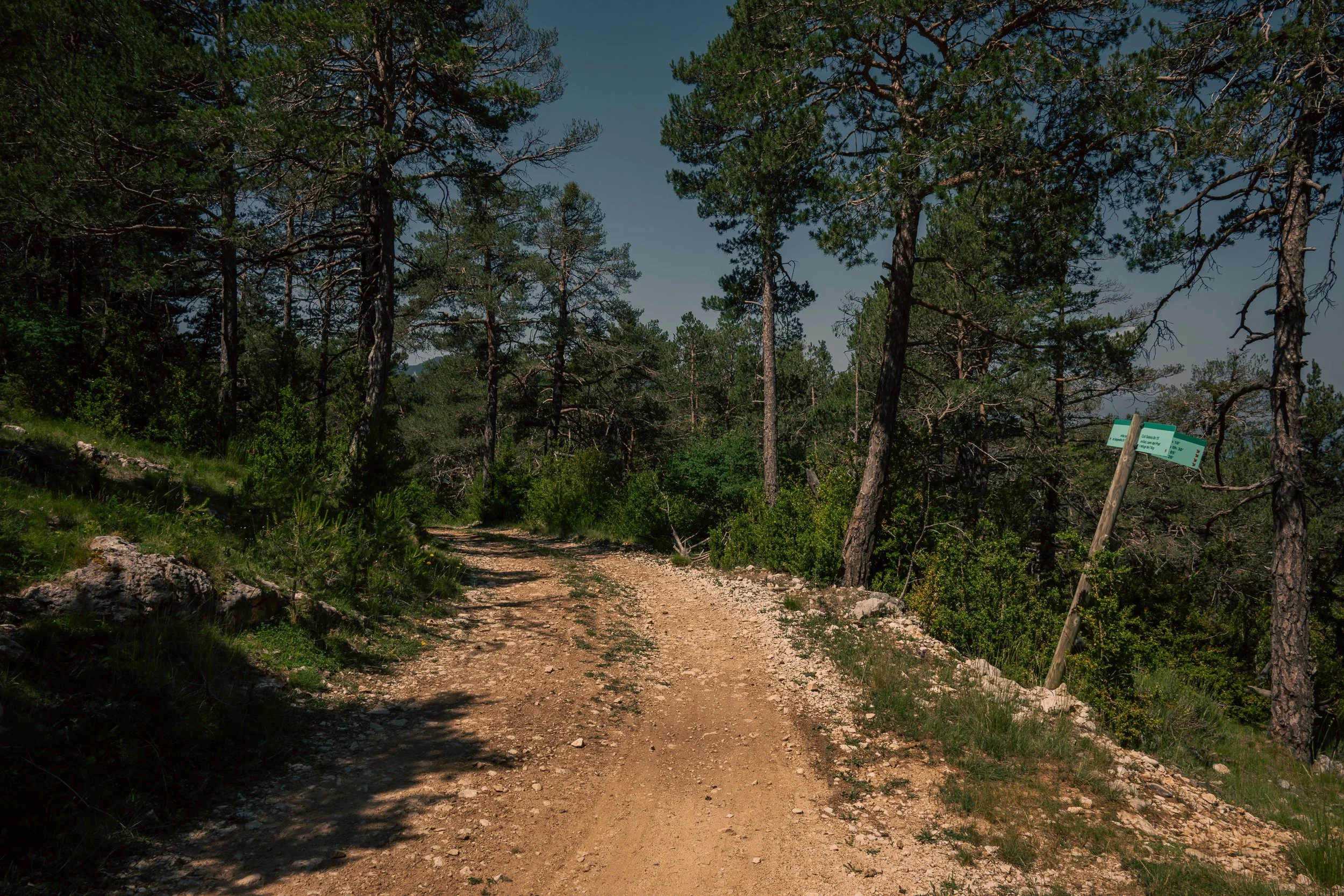 DSC_5819.jpg