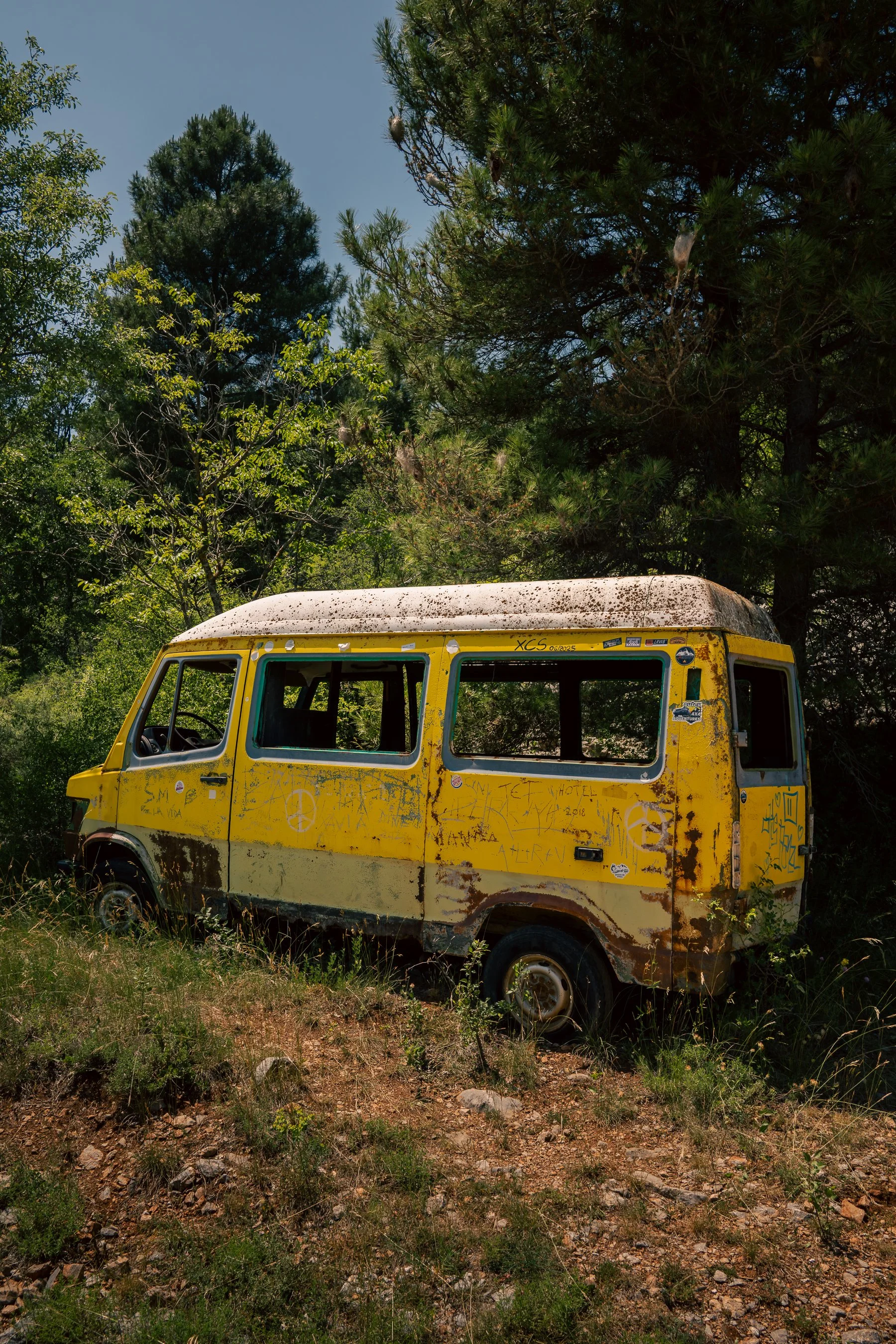 DSC_5855.jpg