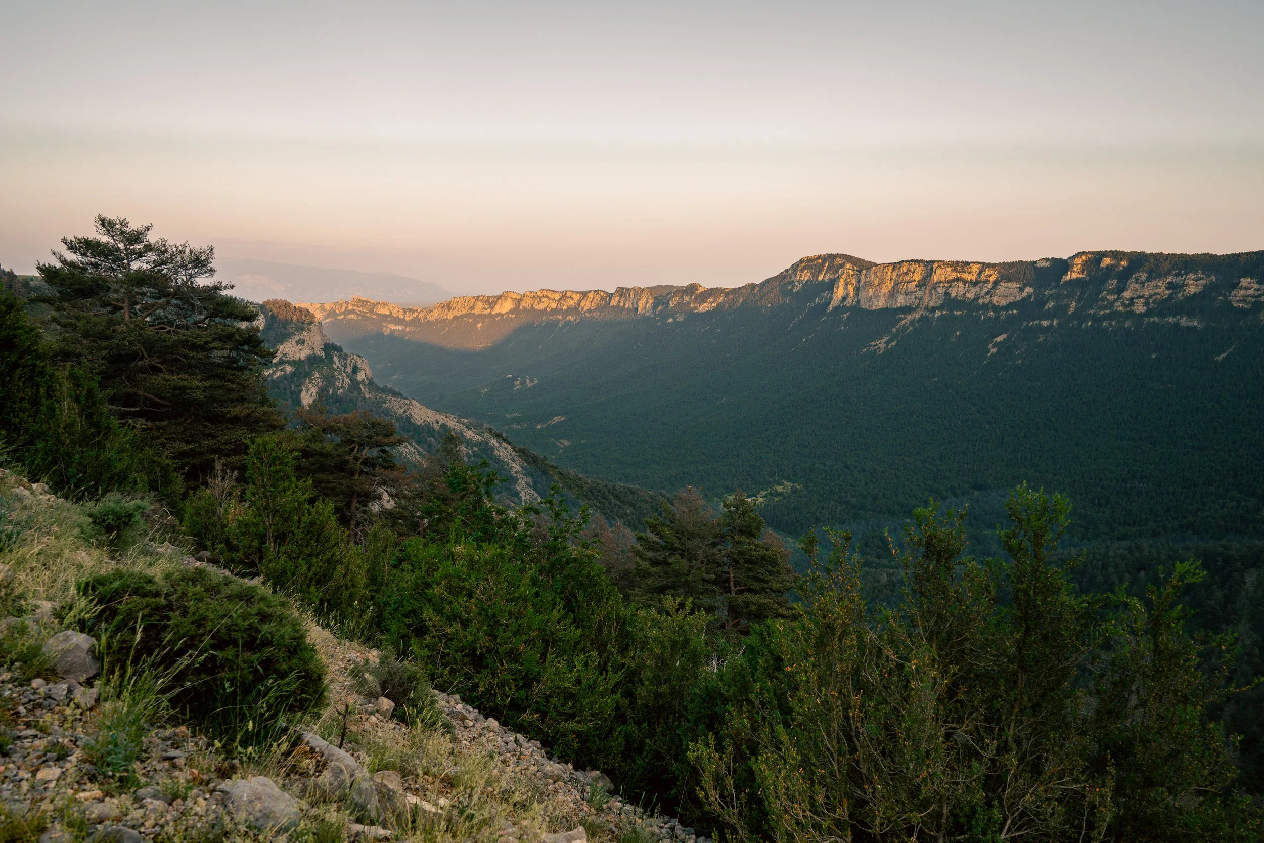 DSC_5881.jpg