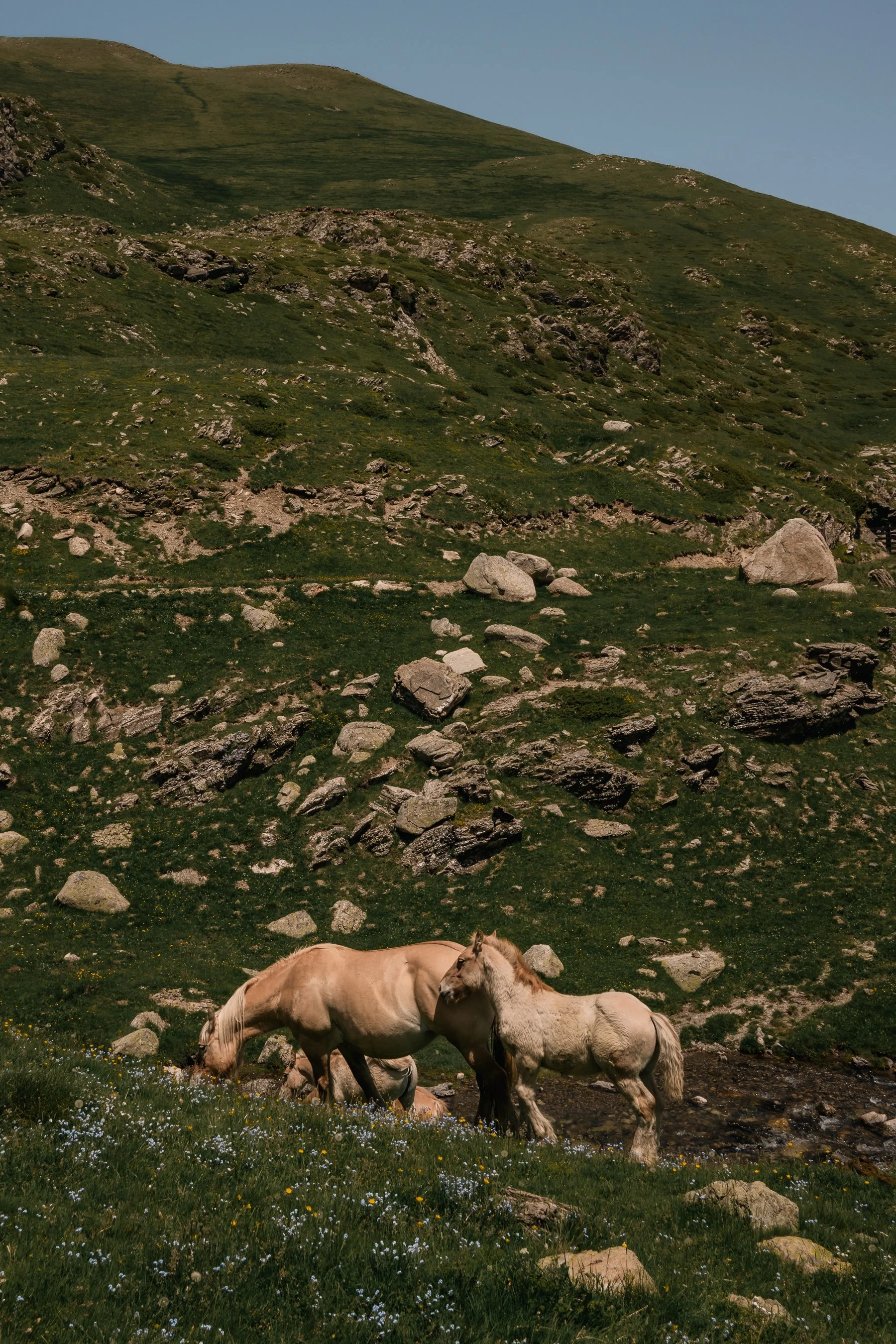 DSC_6025.jpg