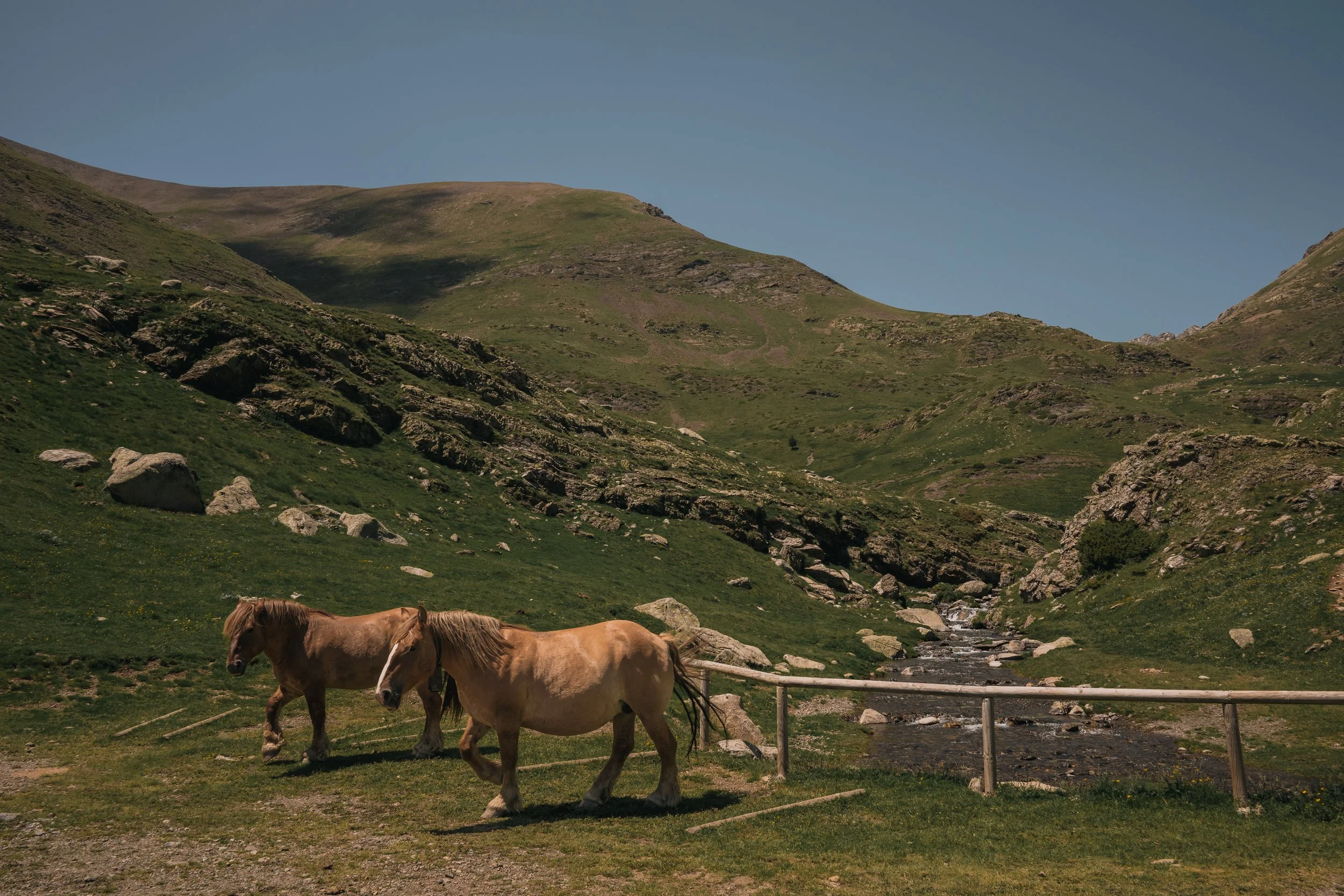 DSC_6036.jpg