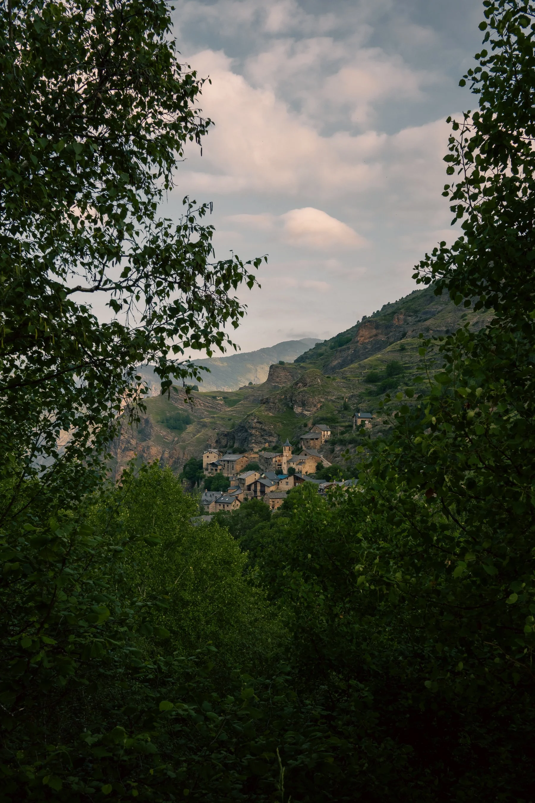 DSC_6091.jpg