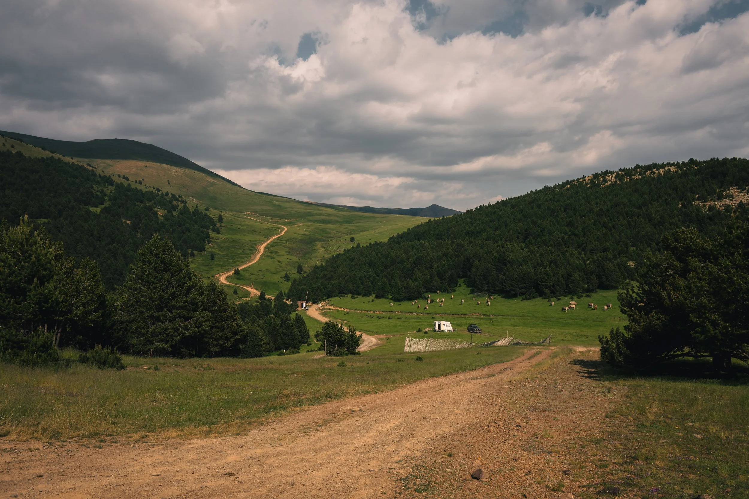 DSC_6126.jpg