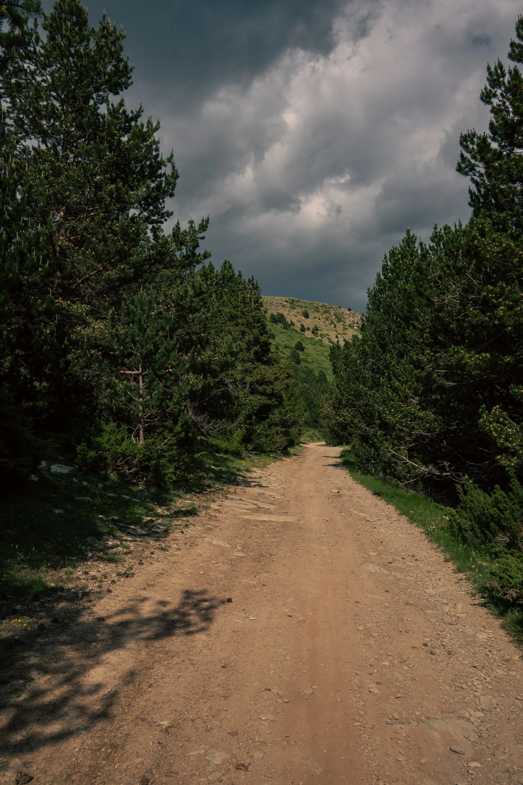 DSC_6129.jpg