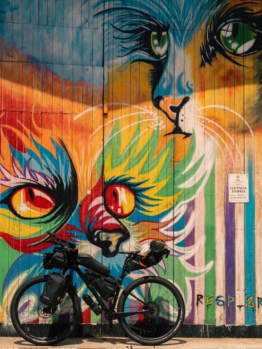 2025 - what an incredible ride it was!

I deepened my passion for long-distance cycling and rode my first two ultra bikepacking adventures in the Pyrenees and the Basque Country: El Piri and Basajaun. Each around 800 km with 18,000 m of elevation. Ve