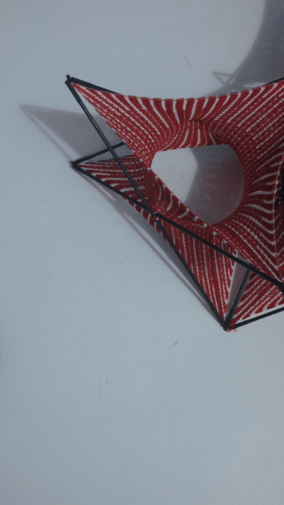 PXL_20260427_161141250.TS.gif