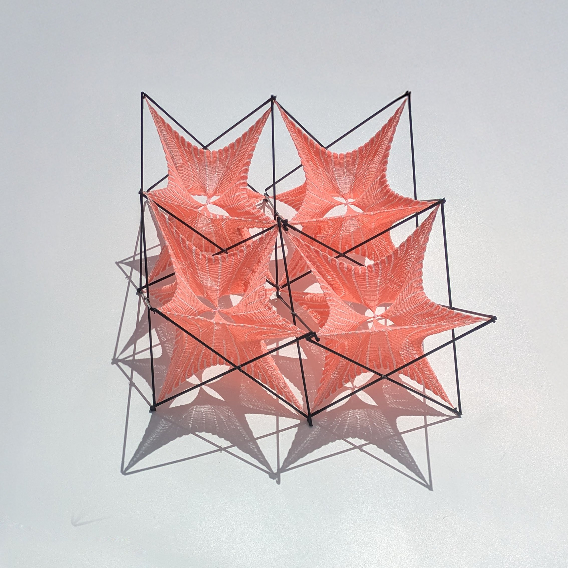 pink square.jpg
