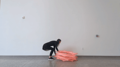 Media4.gif